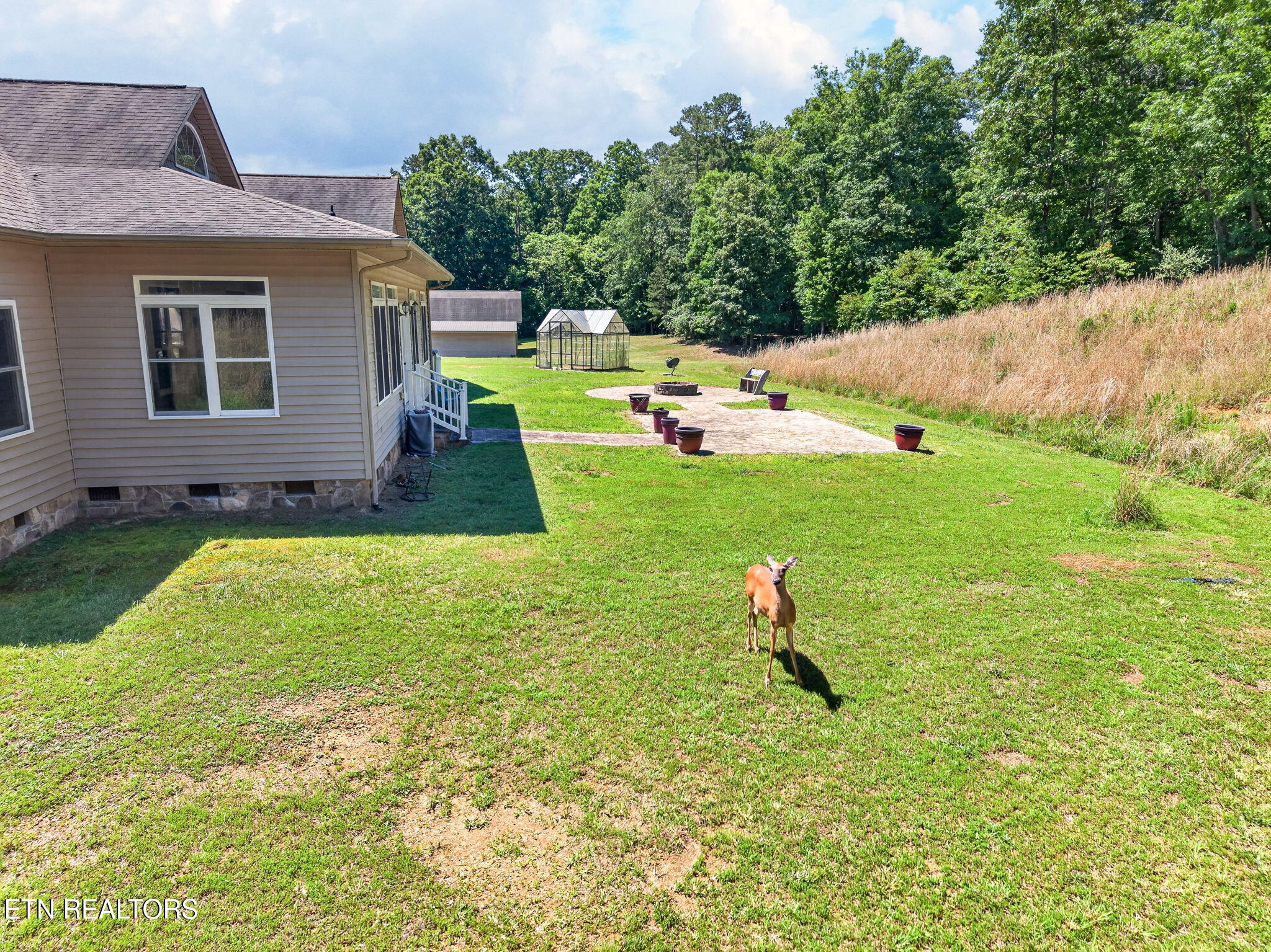 371 Pin Oak Drive Rockwood TN 37854
