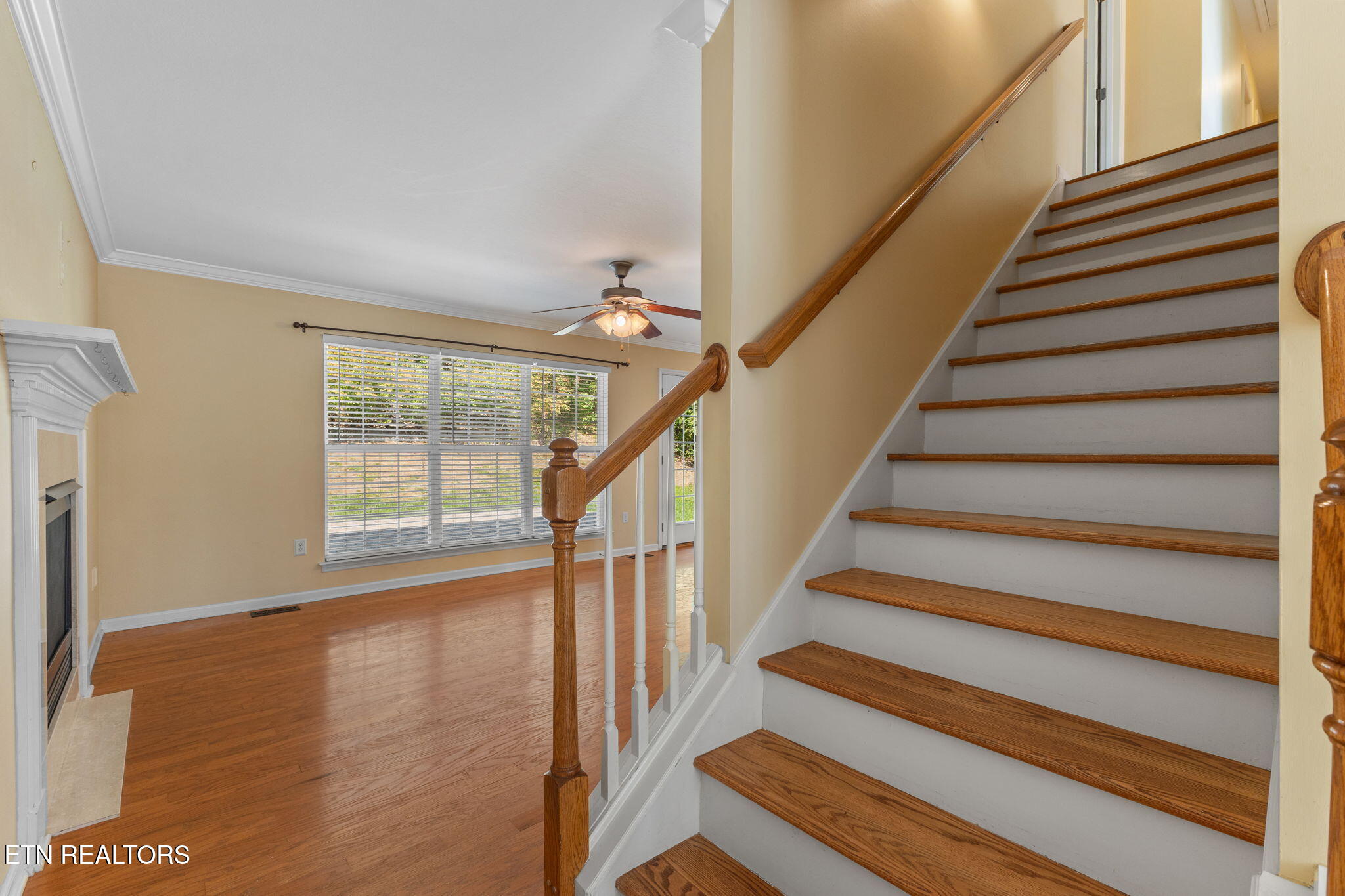 1836 Bombay Lane Knoxville TN 37932