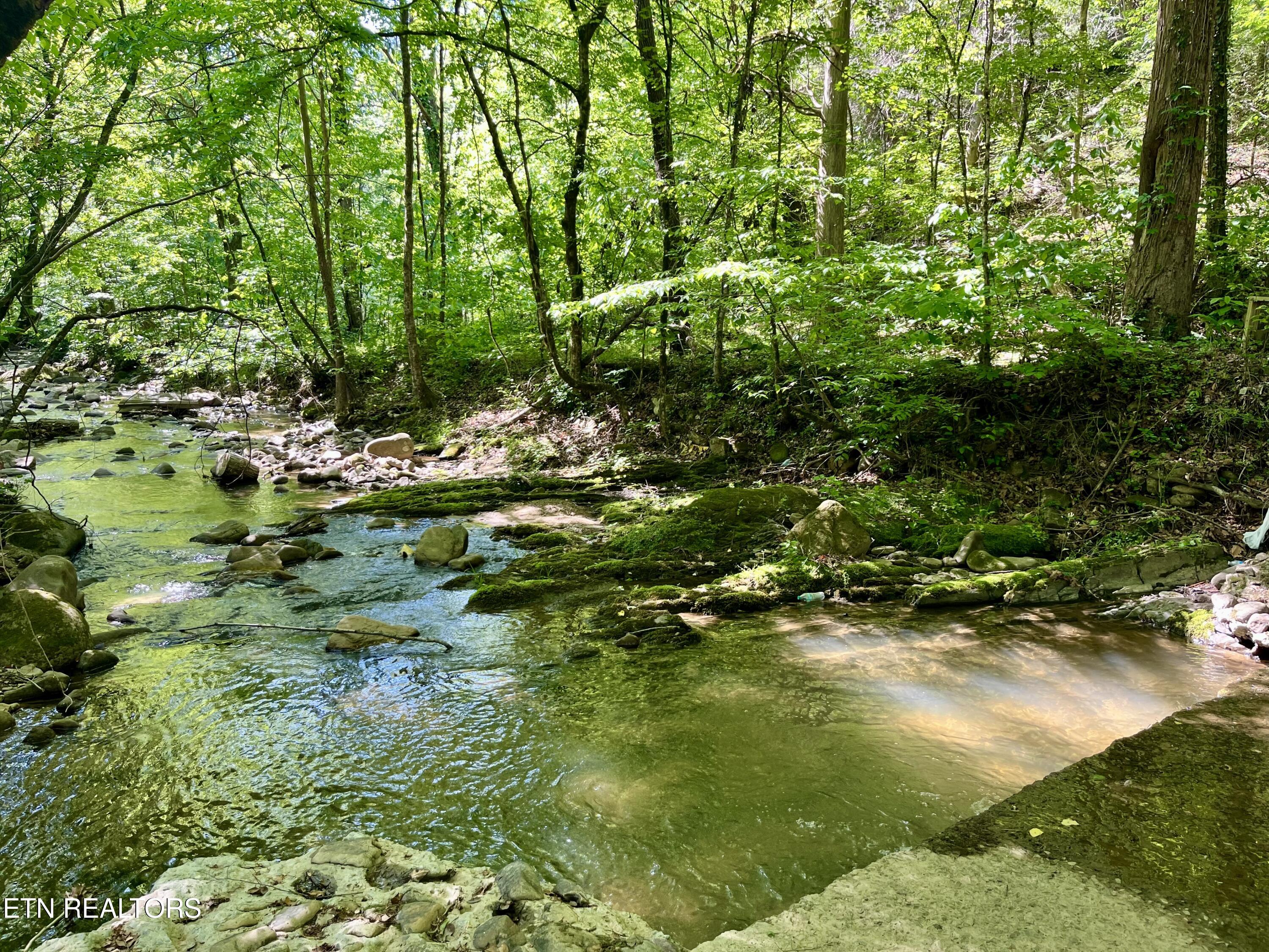 2944 Mcmahan Sawmill Road Sevierville TN 37862