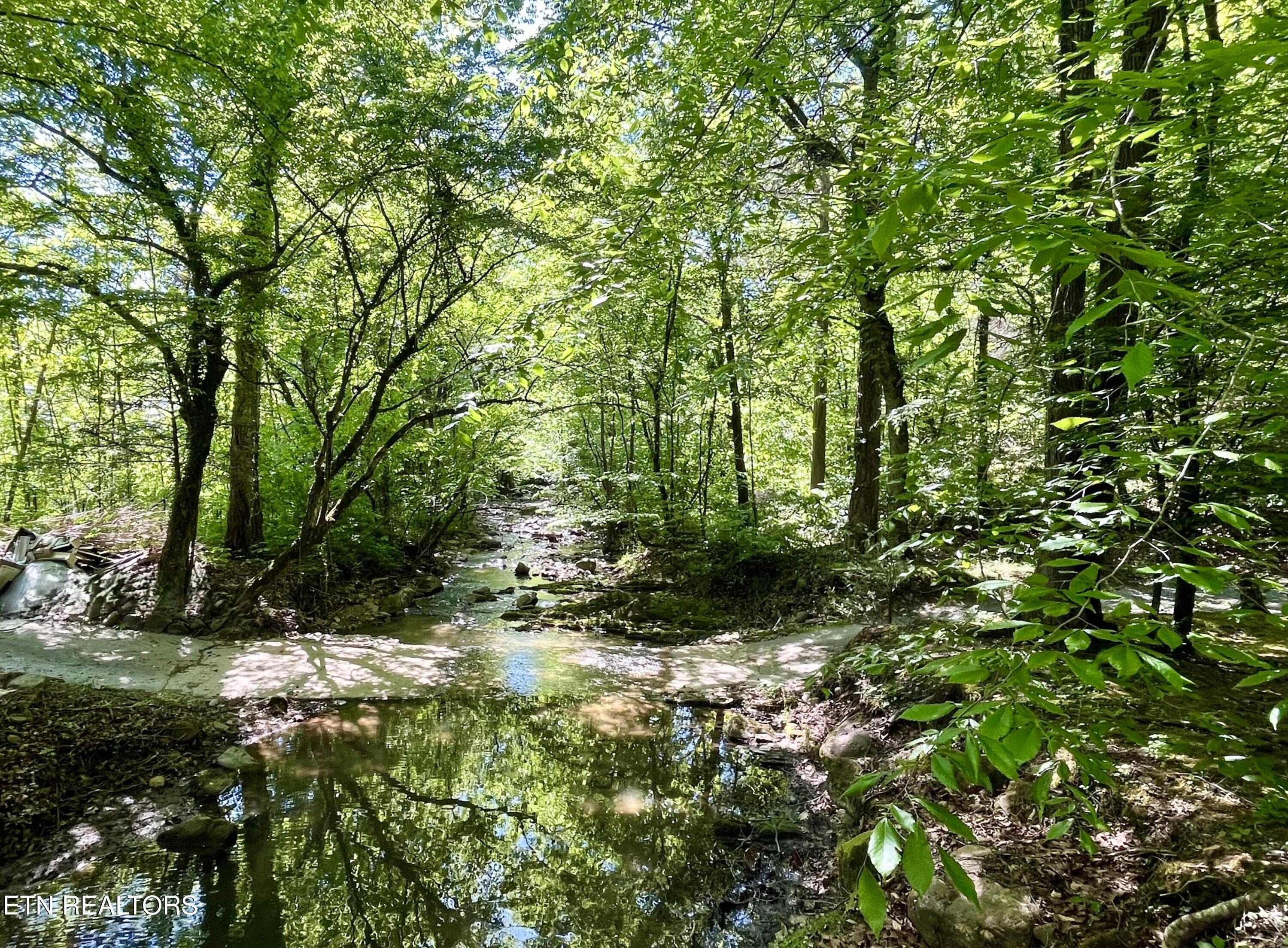 2944 Mcmahan Sawmill Road Sevierville TN 37862