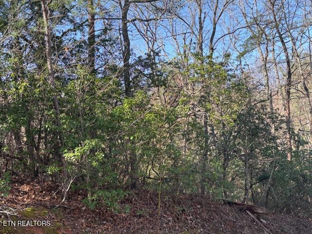 1915 Buckeye View Way Sevierville TN 37876