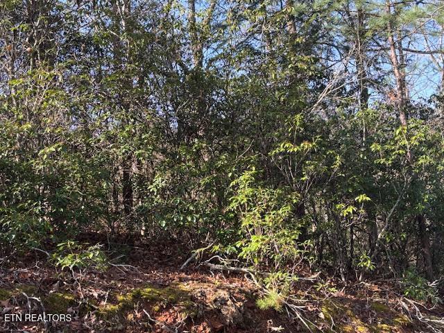 1915 Buckeye View Way Sevierville TN 37876