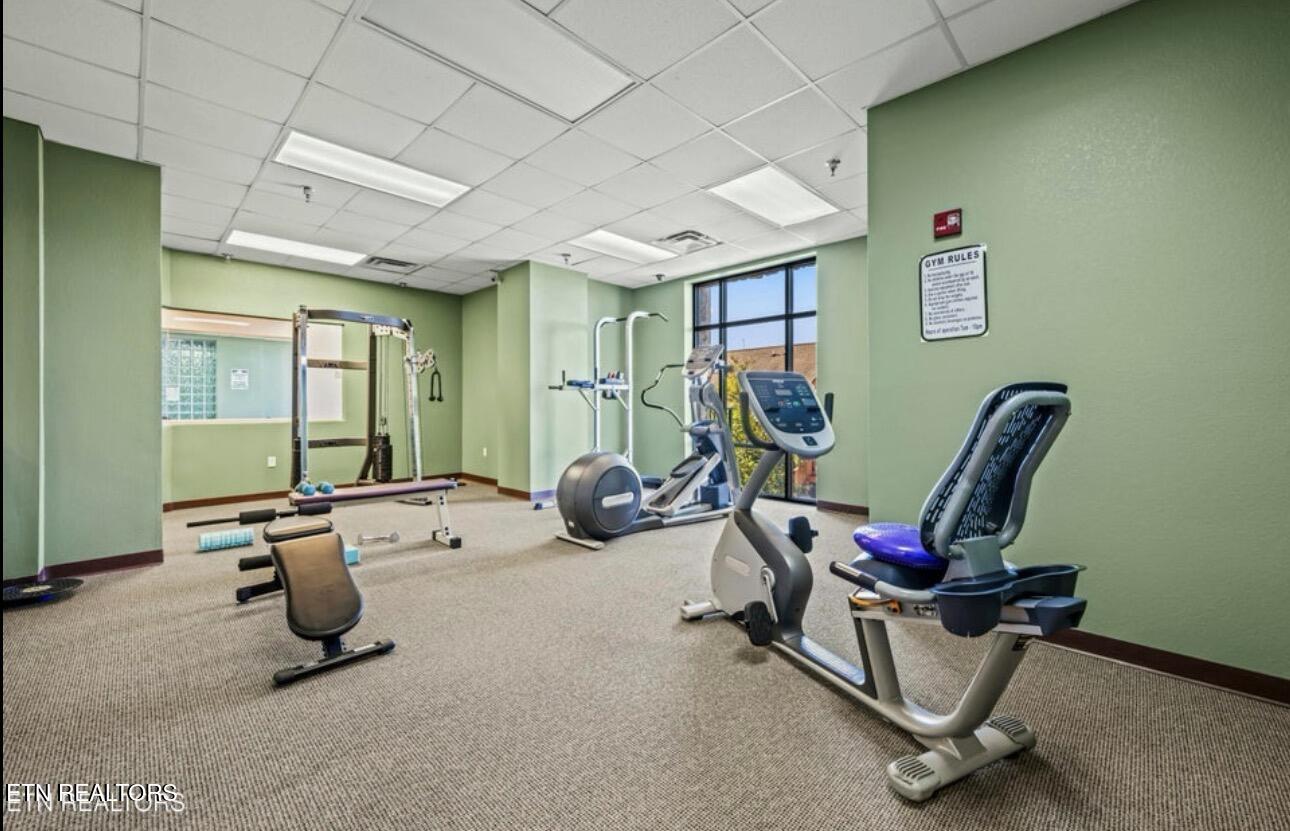 326 Big Bear Way Pigeon Forge TN 37863