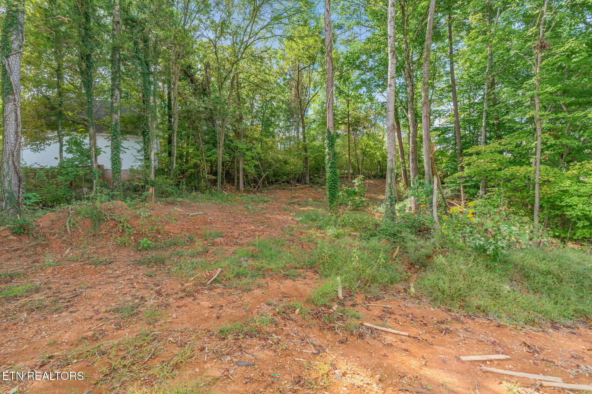 7313 Royal Springs Boulevard Knoxville TN 37918