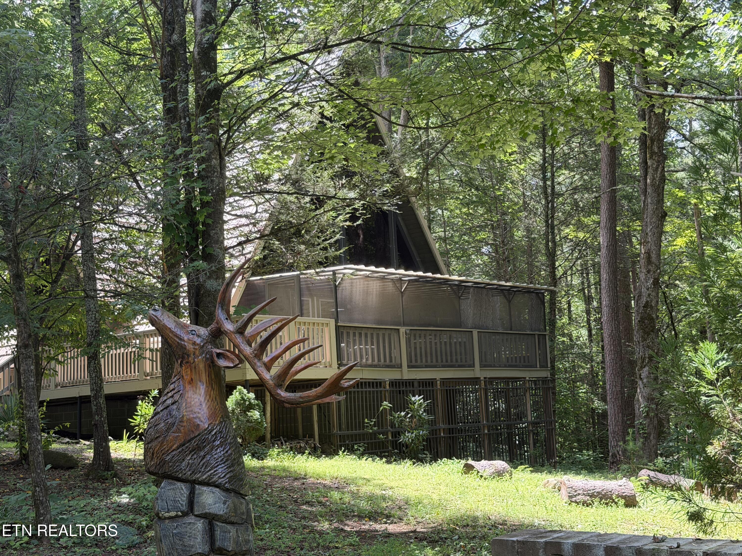 110 Buffalo Springs Way Townsend TN 37882