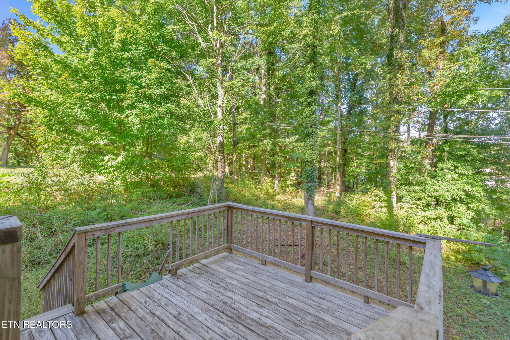5513 Pinellas Drive Knoxville TN 37919