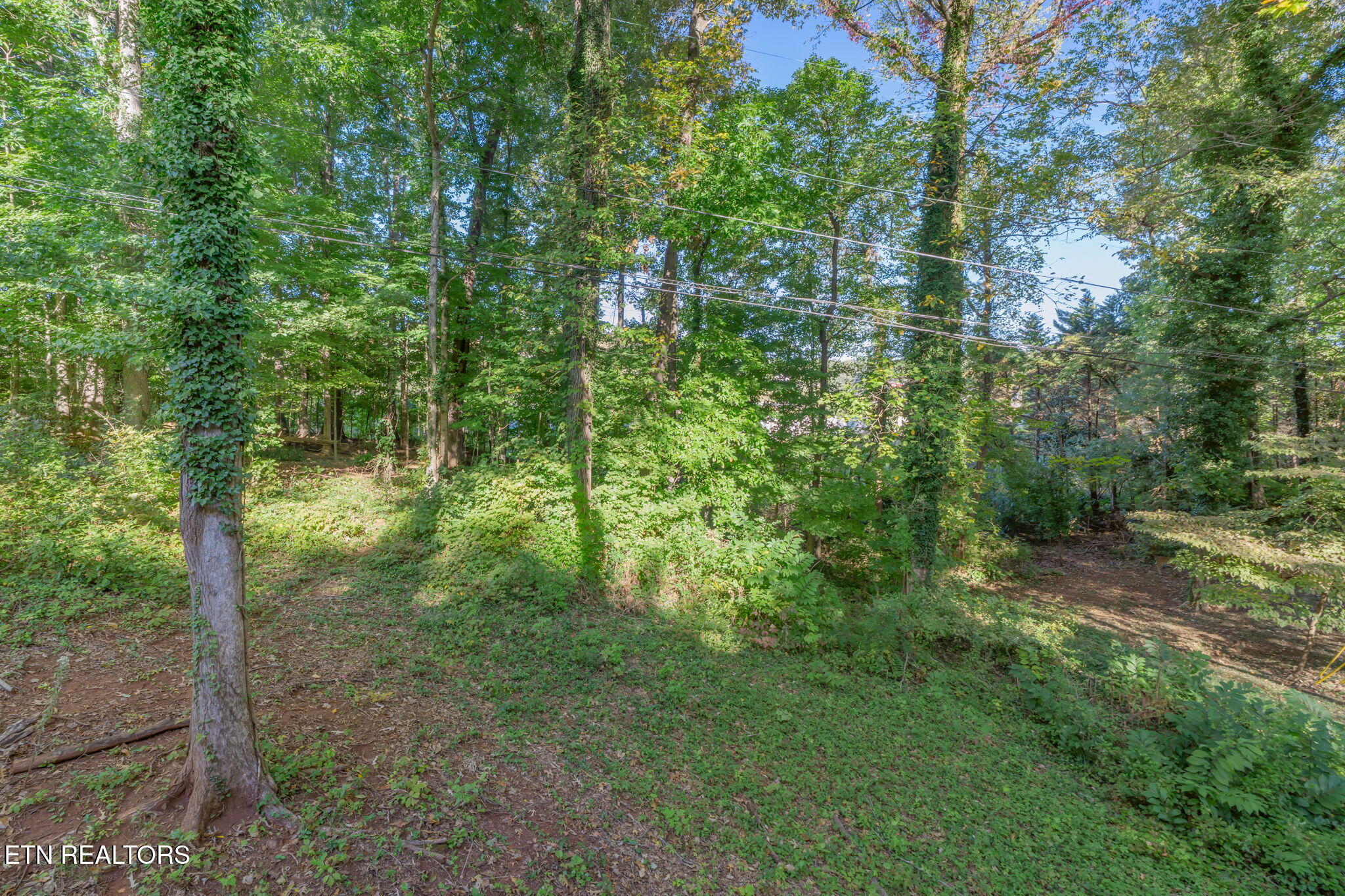 5513 Pinellas Drive Knoxville TN 37919
