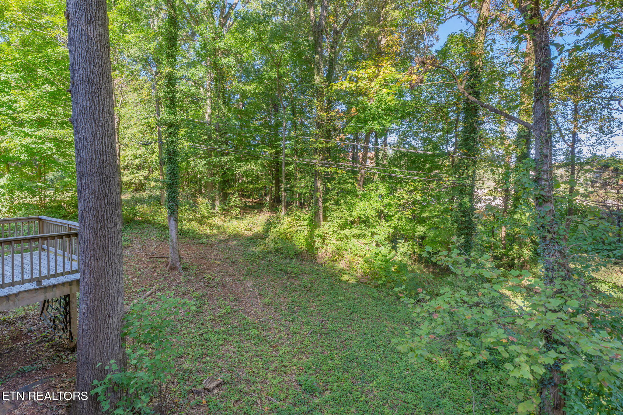 5513 Pinellas Drive Knoxville TN 37919