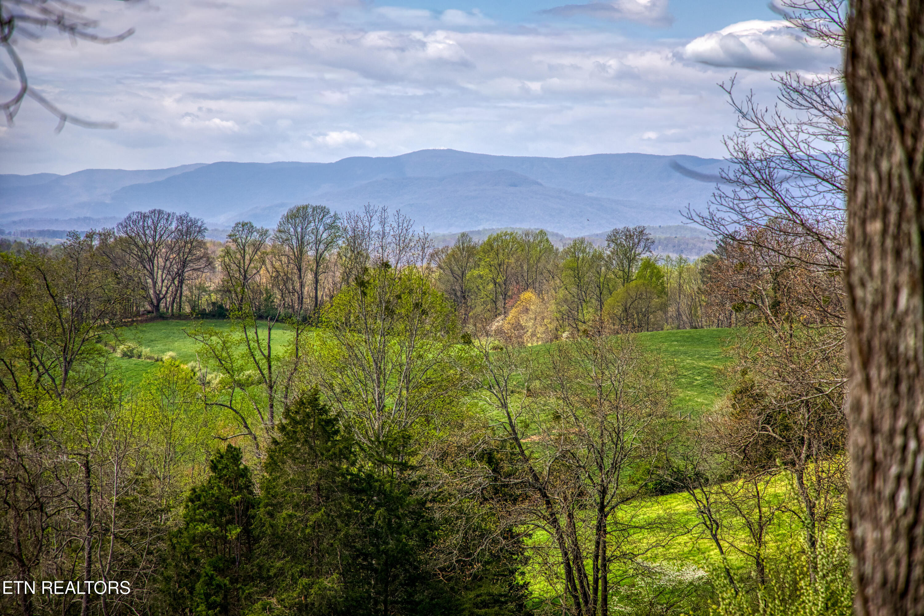 910 Ridge Circle Road Andersonville TN 37705