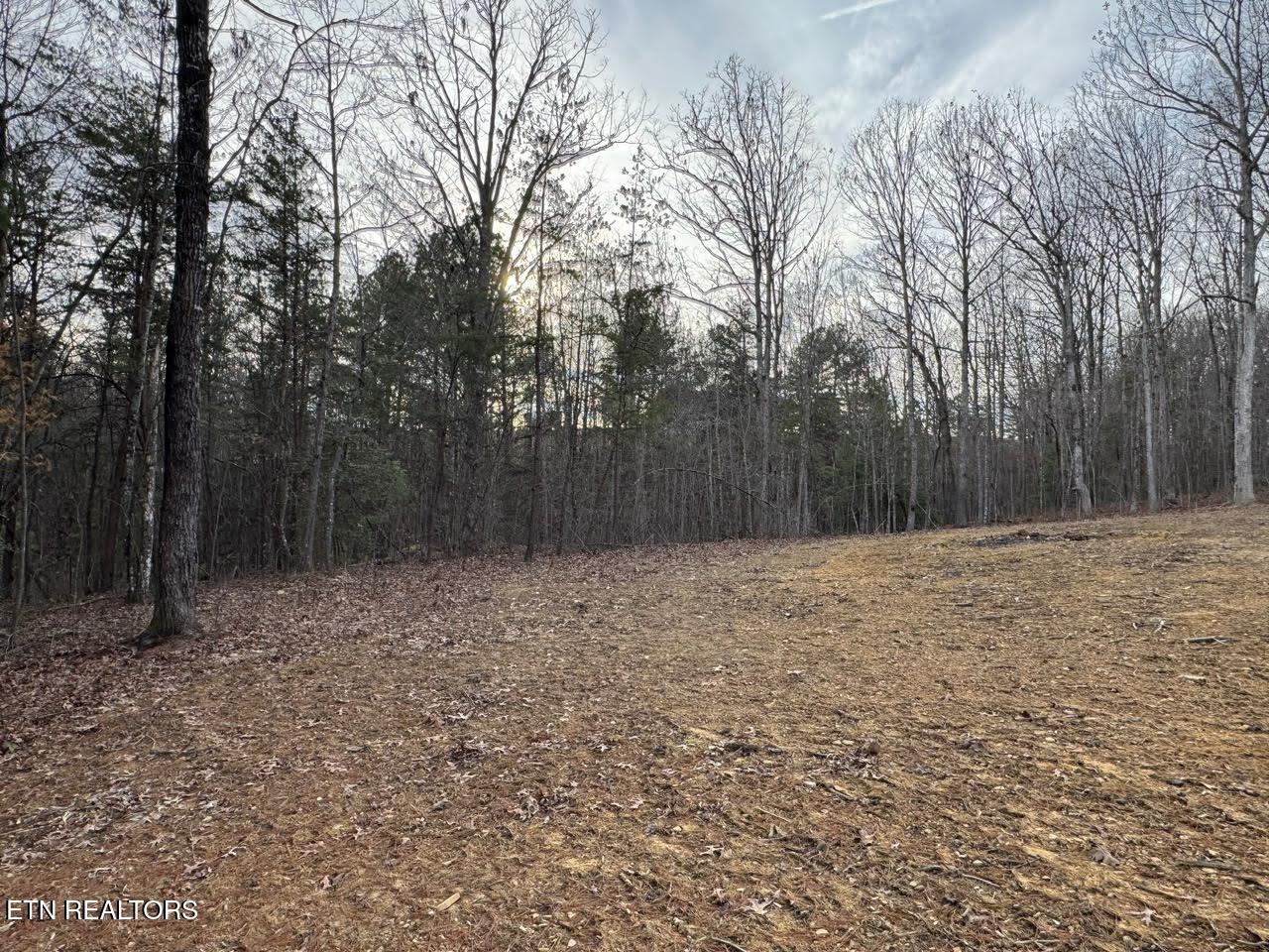 185 Northwood Place Jamestown TN 38556
