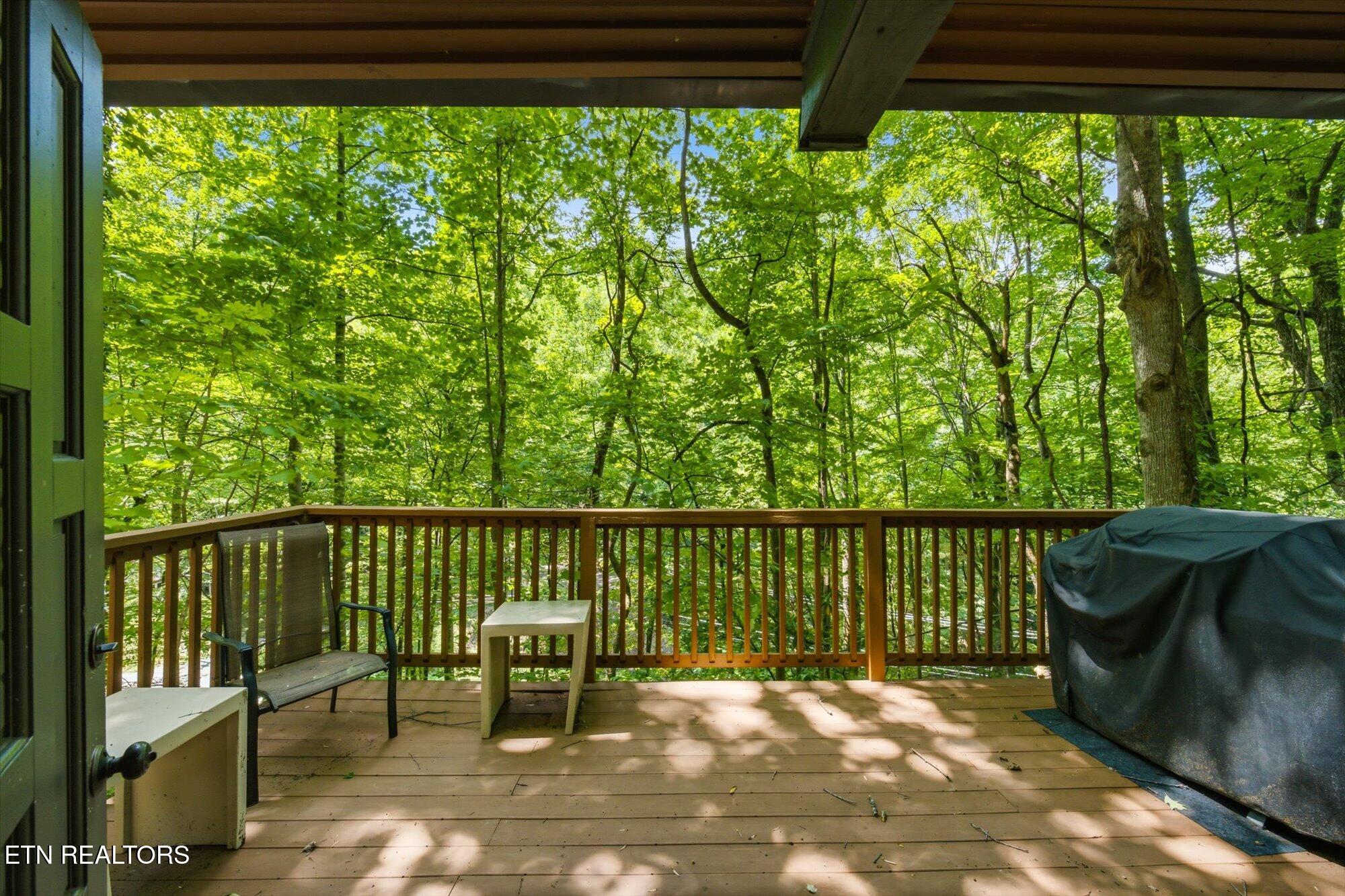 1215 N Baden Drive Gatlinburg TN 37738