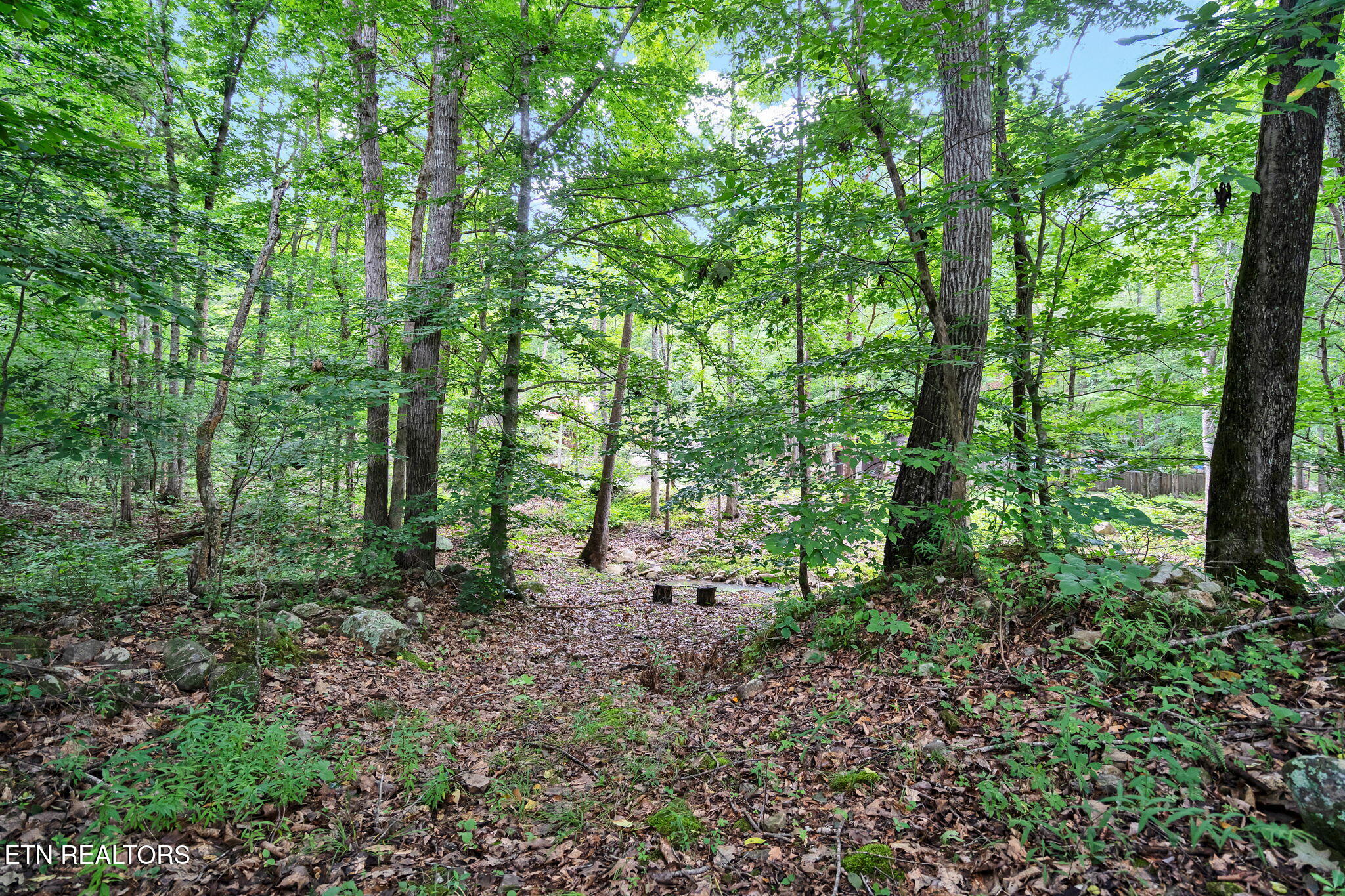 718 Dewind Drive Pikeville TN 37367
