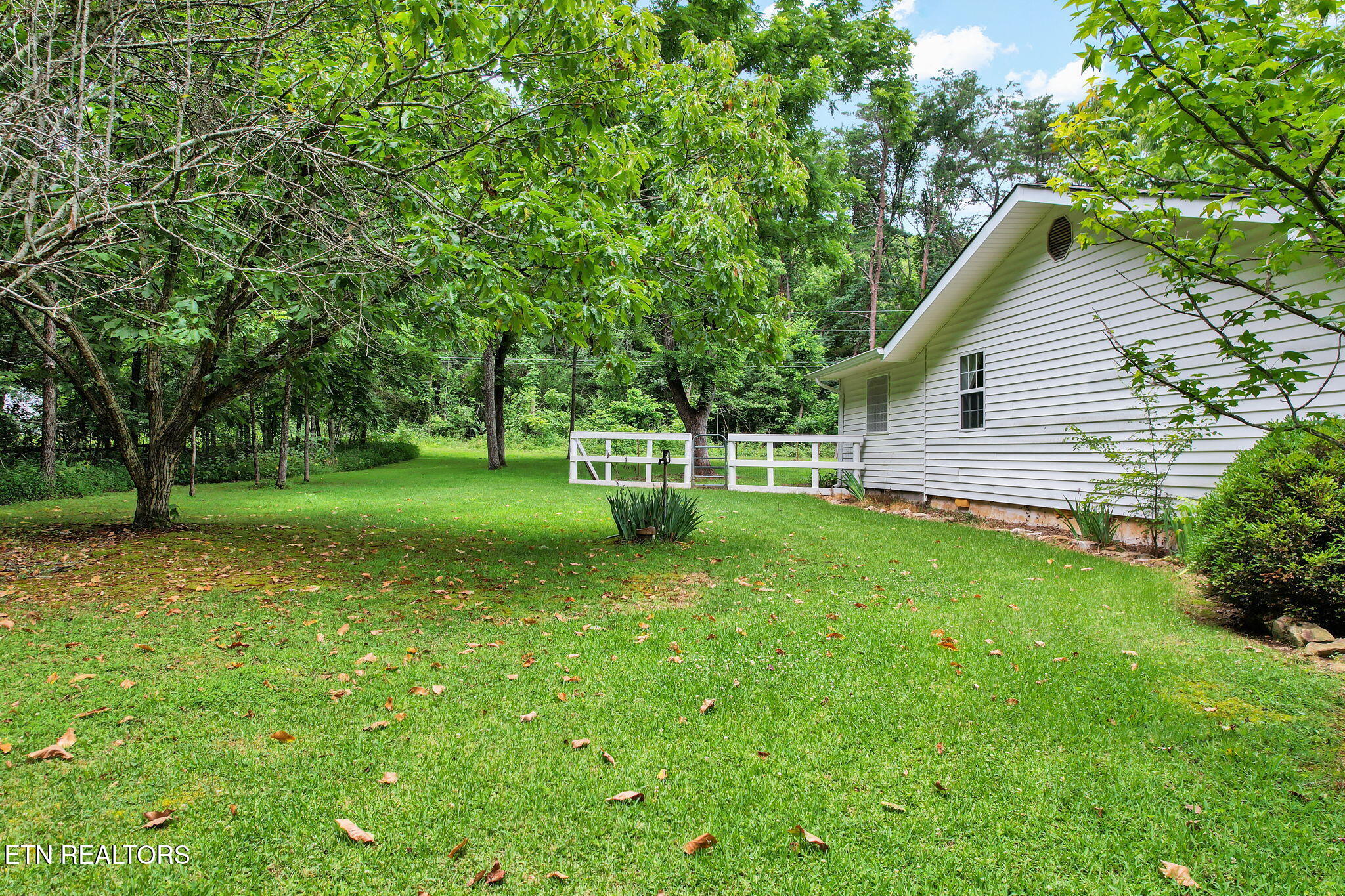 718 Dewind Drive Pikeville TN 37367