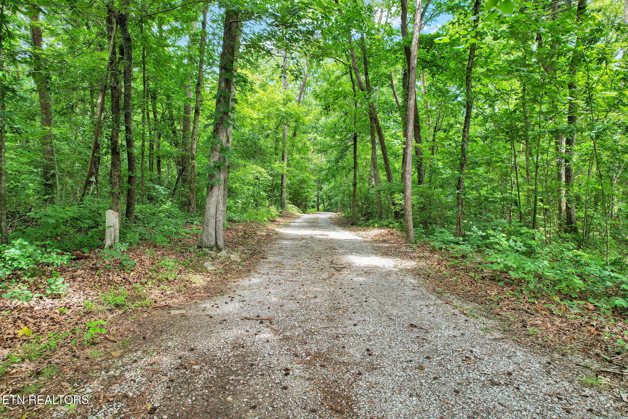 718 Dewind Drive Pikeville TN 37367