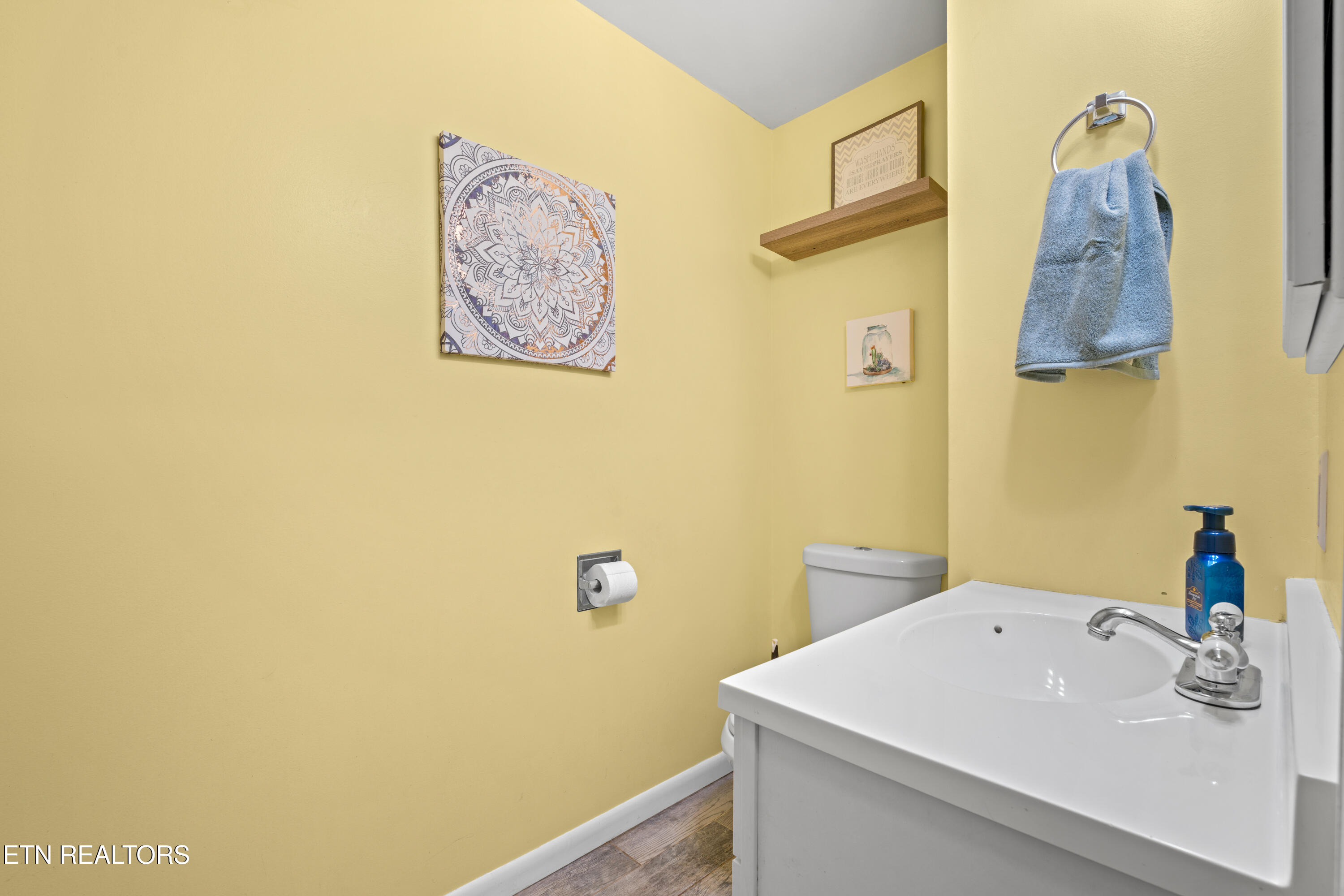 212 Virginia Drive Seymour TN 37865