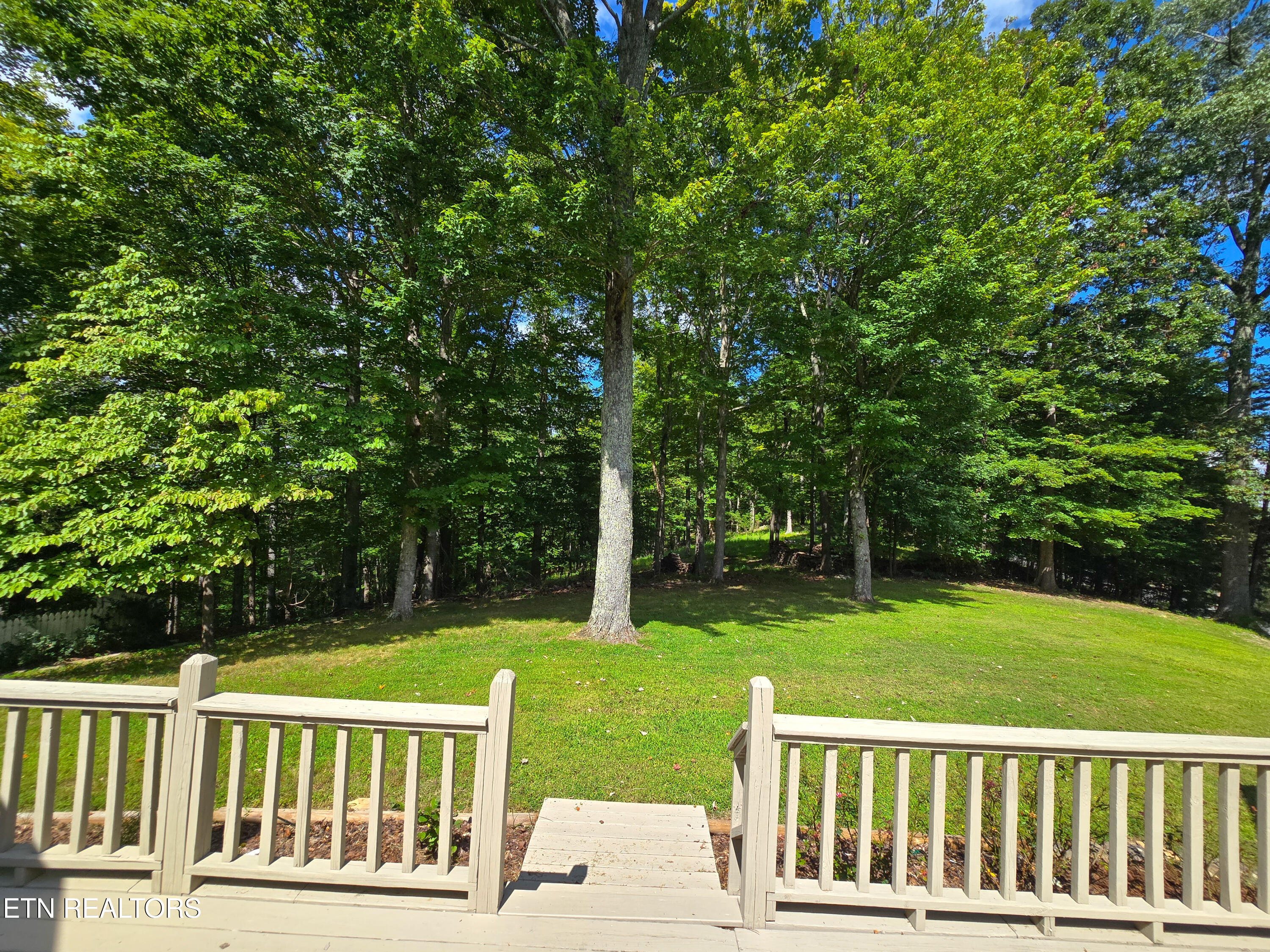 337 Fox Ridge Lane Caryville TN 37714