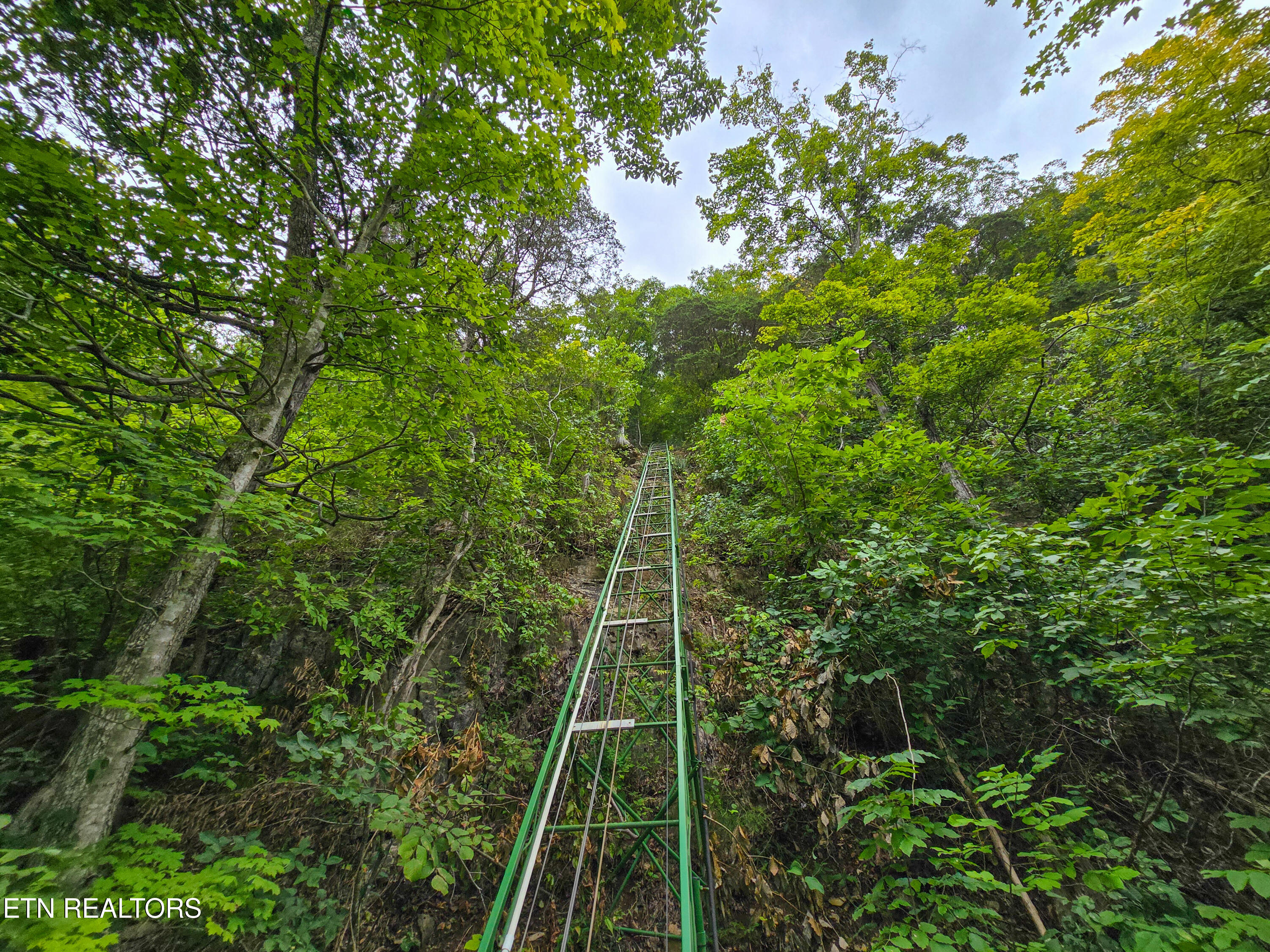 337 Fox Ridge Lane Caryville TN 37714