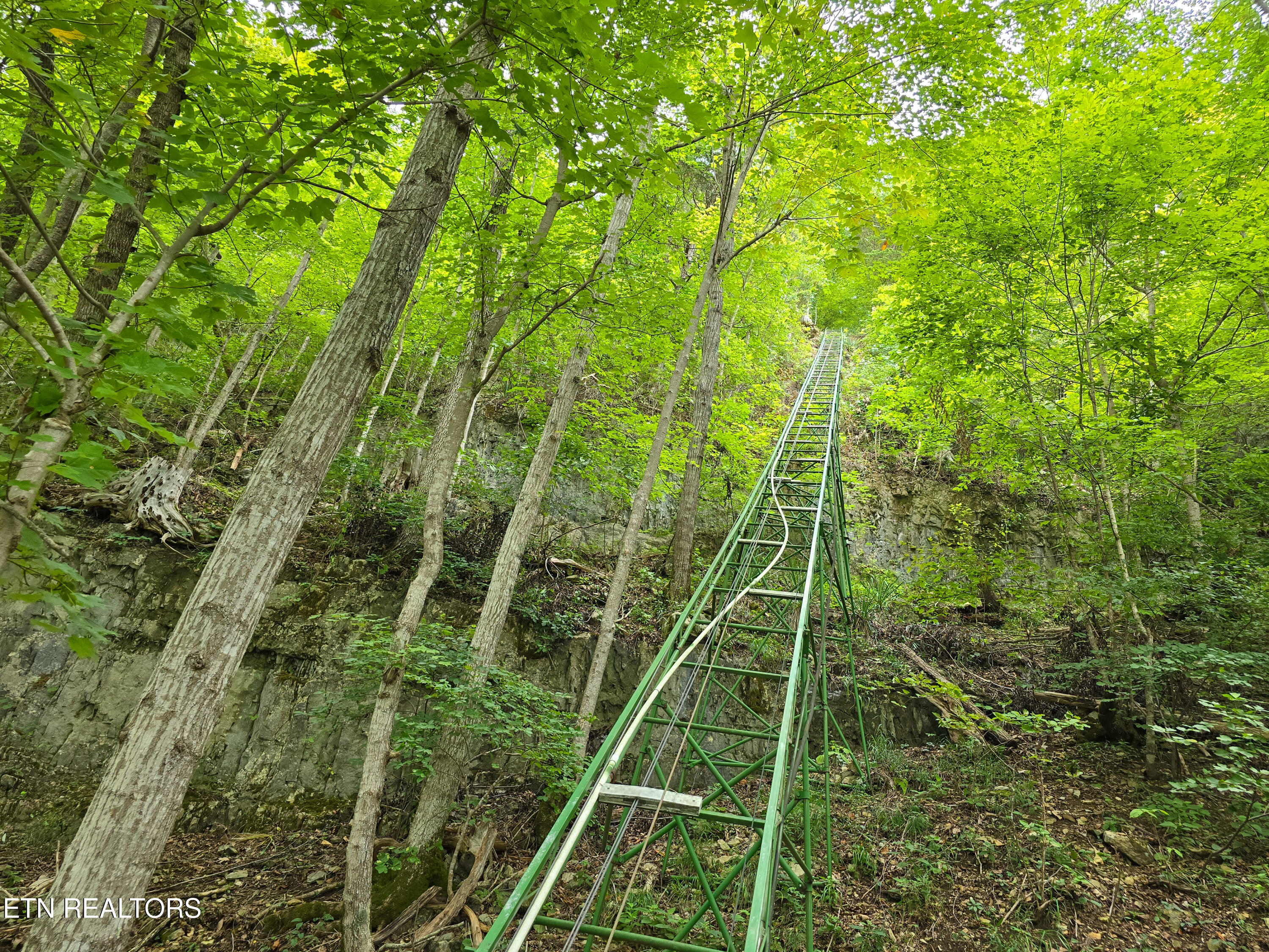 337 Fox Ridge Lane Caryville TN 37714