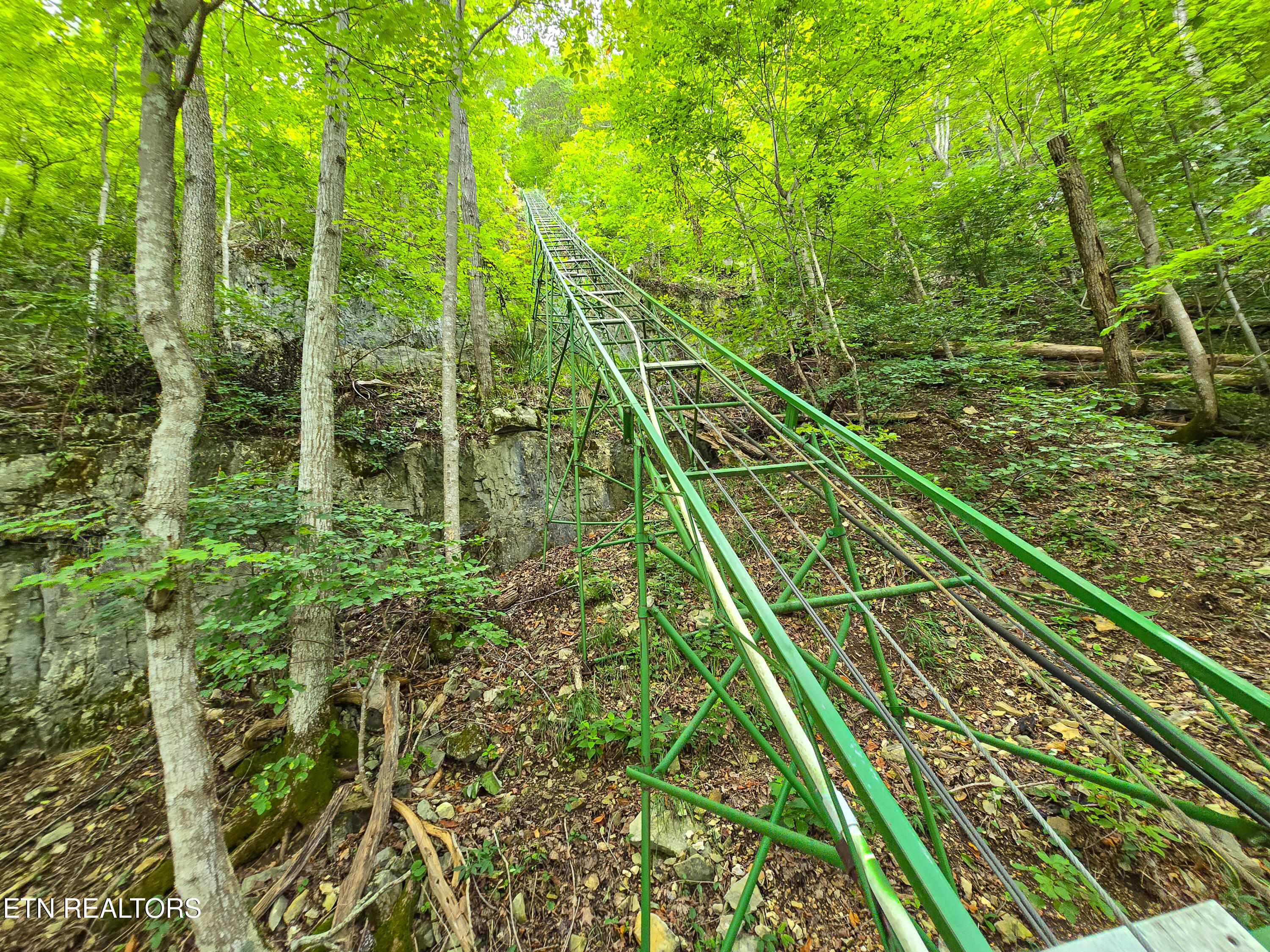 337 Fox Ridge Lane Caryville TN 37714