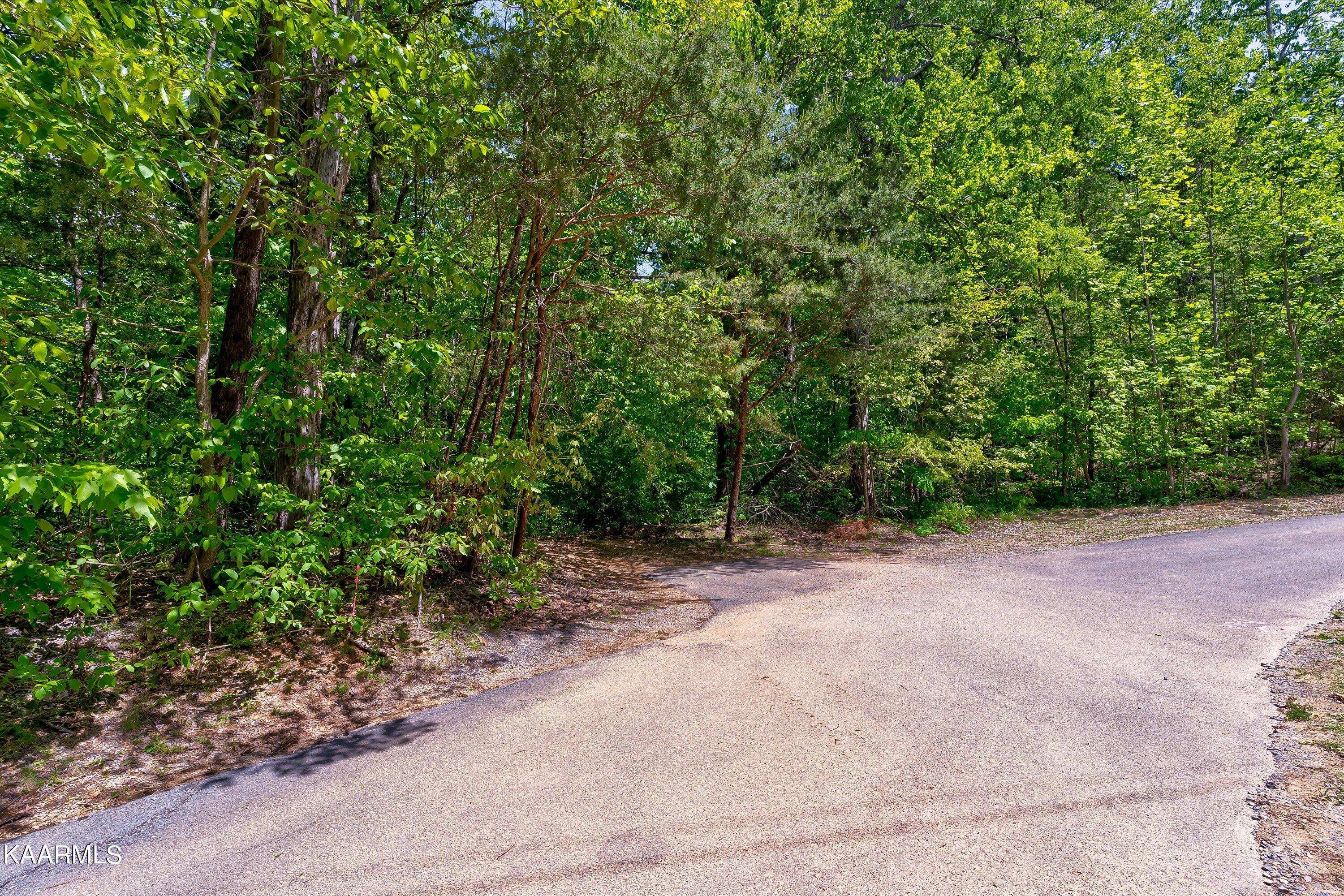 650 Silver Poplar Lane Sevierville TN 37876