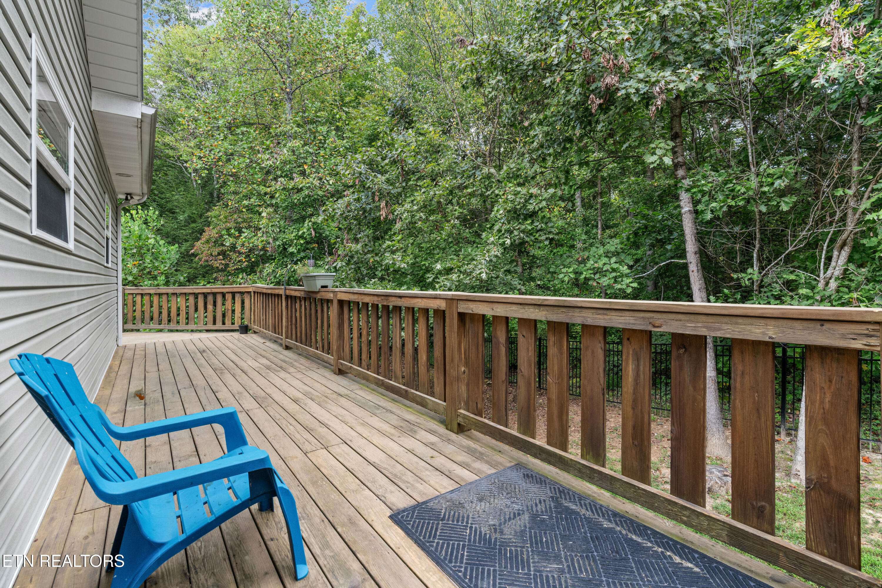 3851 Mistletoe Loop Sevierville TN 37876