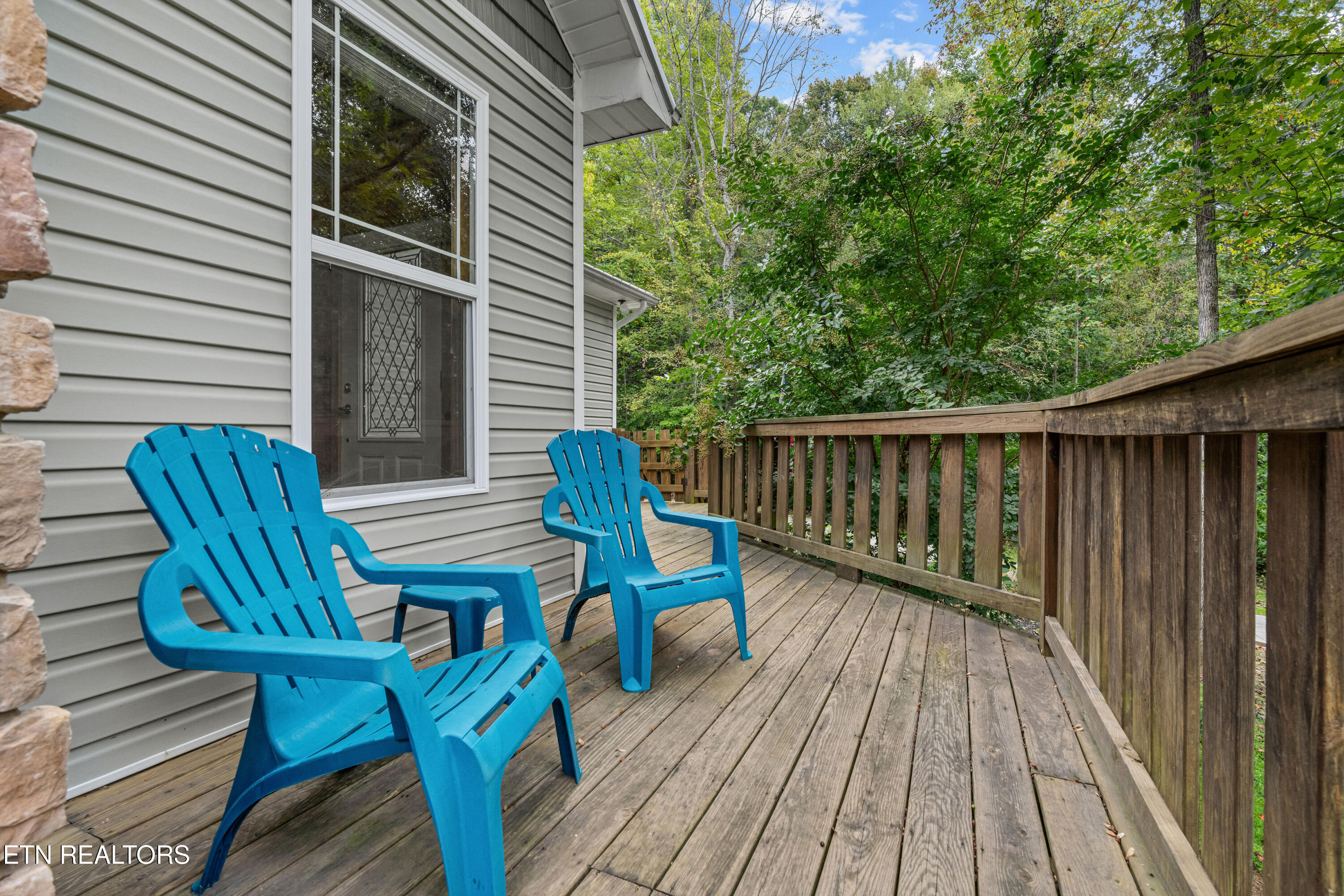 3851 Mistletoe Loop Sevierville TN 37876