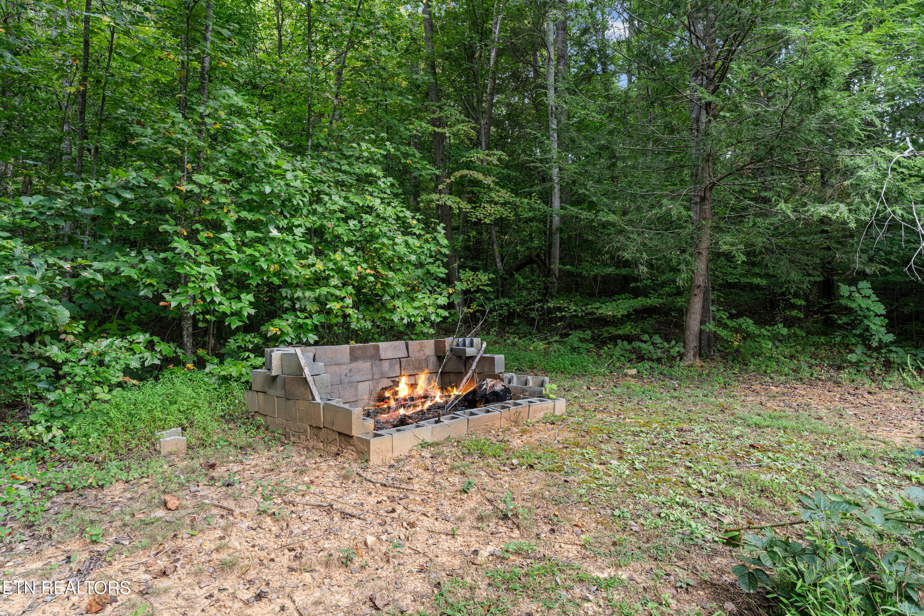 3851 Mistletoe Loop Sevierville TN 37876
