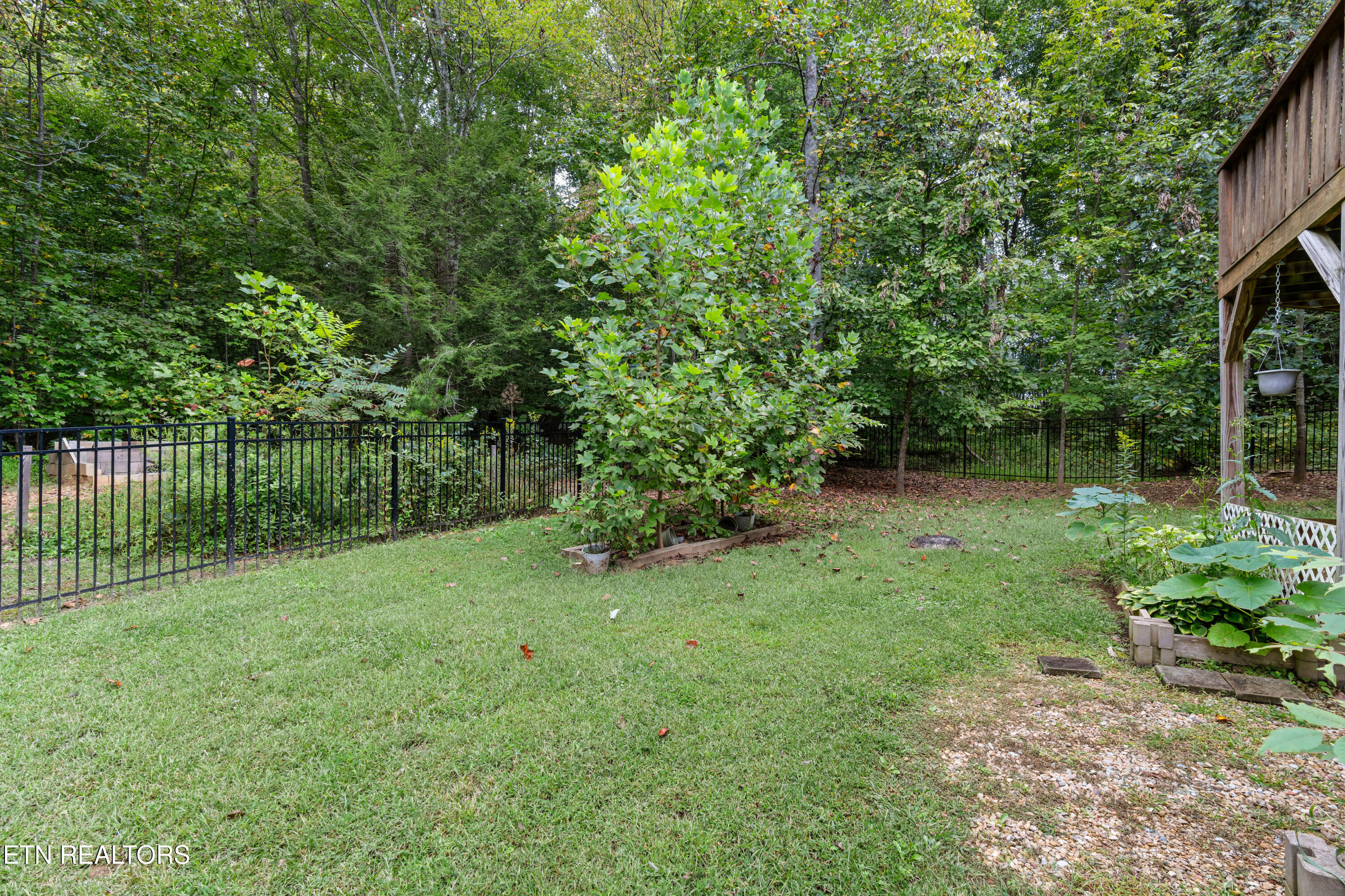3851 Mistletoe Loop Sevierville TN 37876