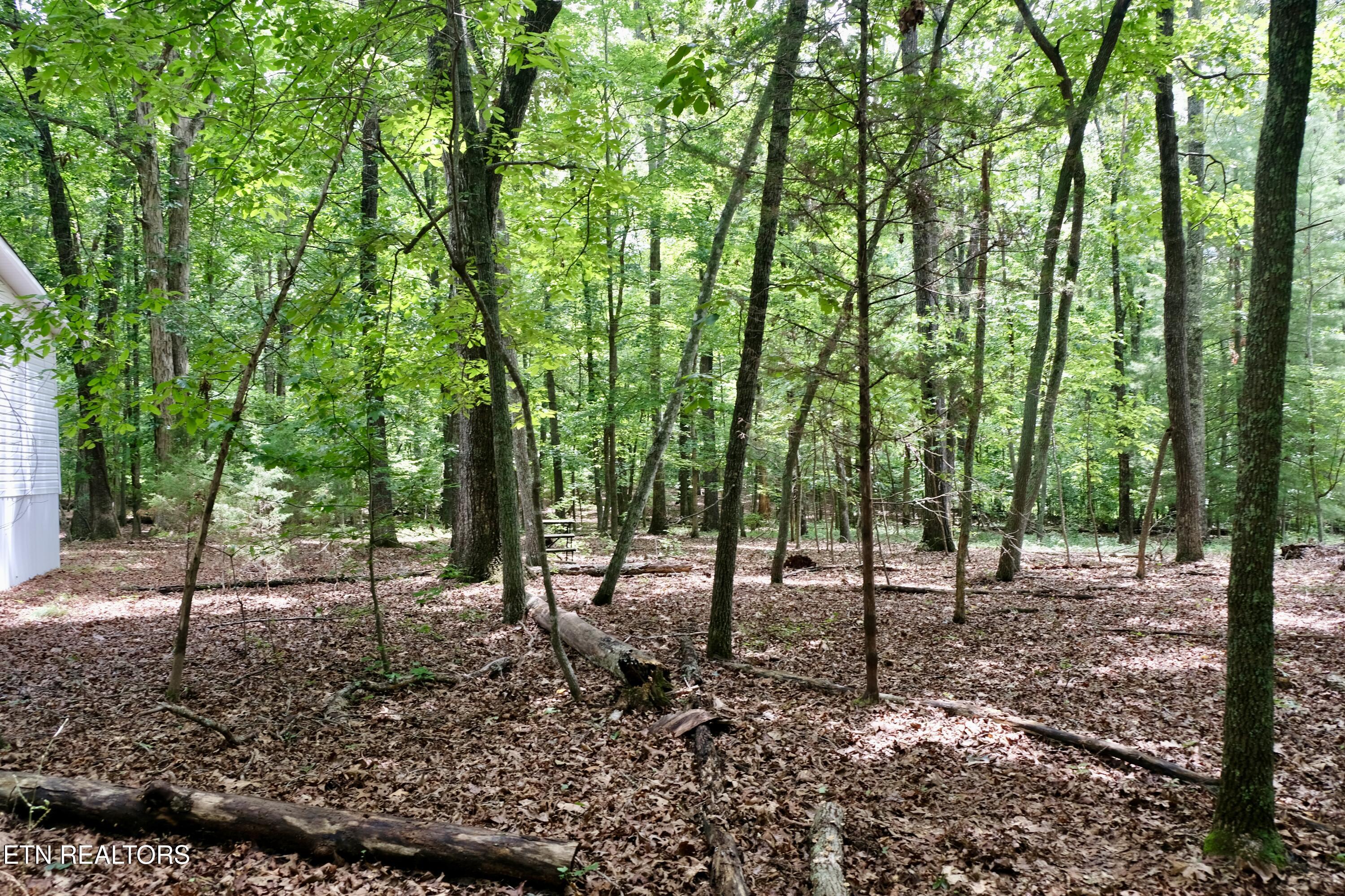 756 Ewing Cemetery Road Spring City TN 37381
