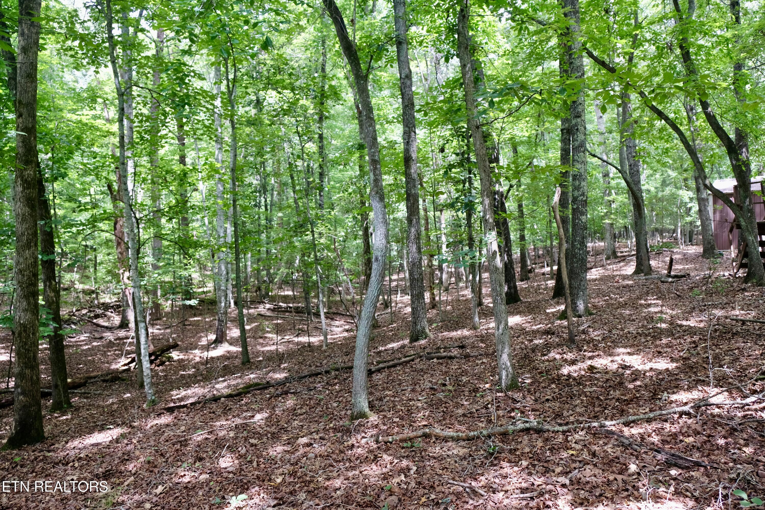 756 Ewing Cemetery Road Spring City TN 37381