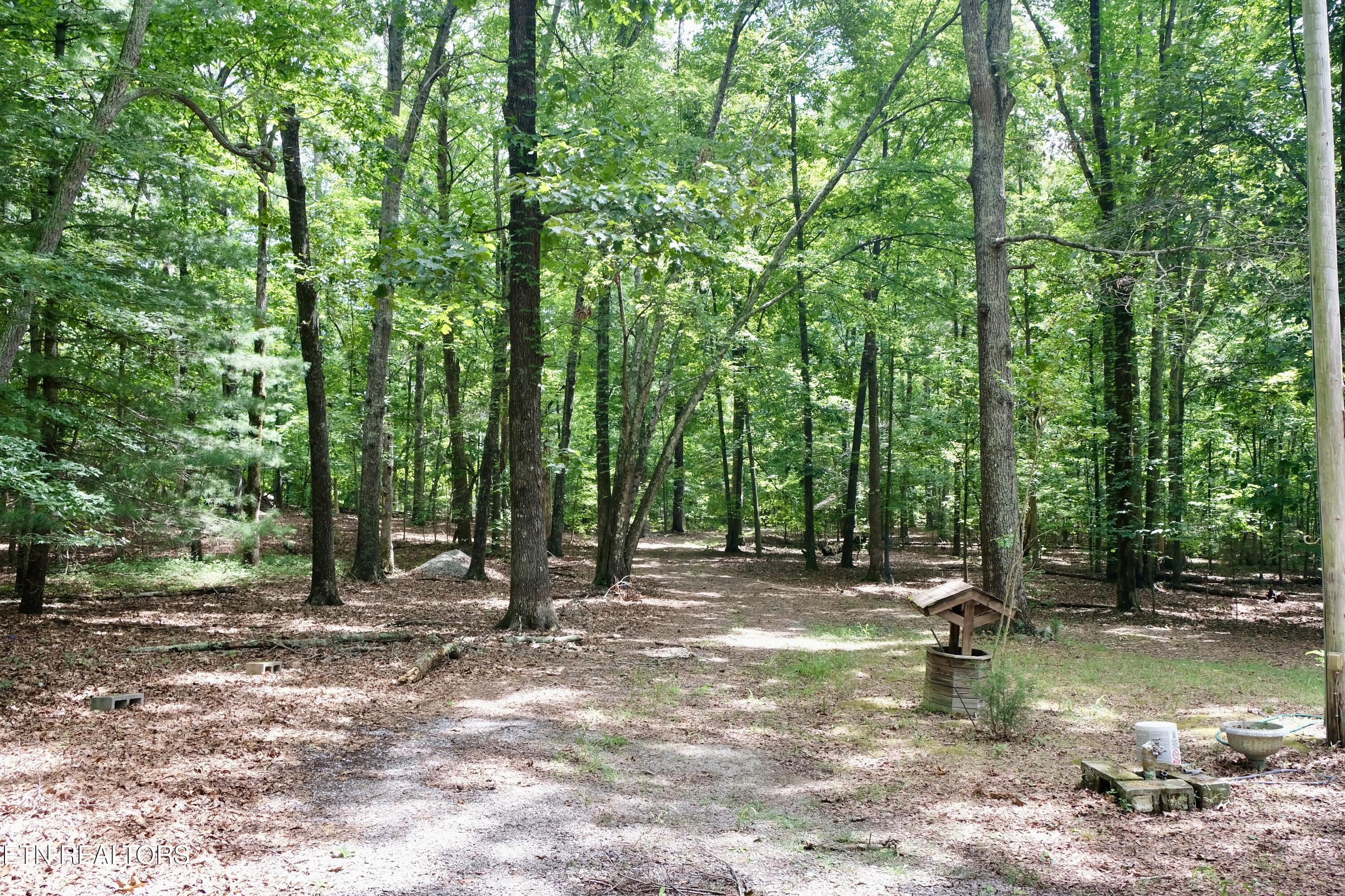 756 Ewing Cemetery Road Spring City TN 37381