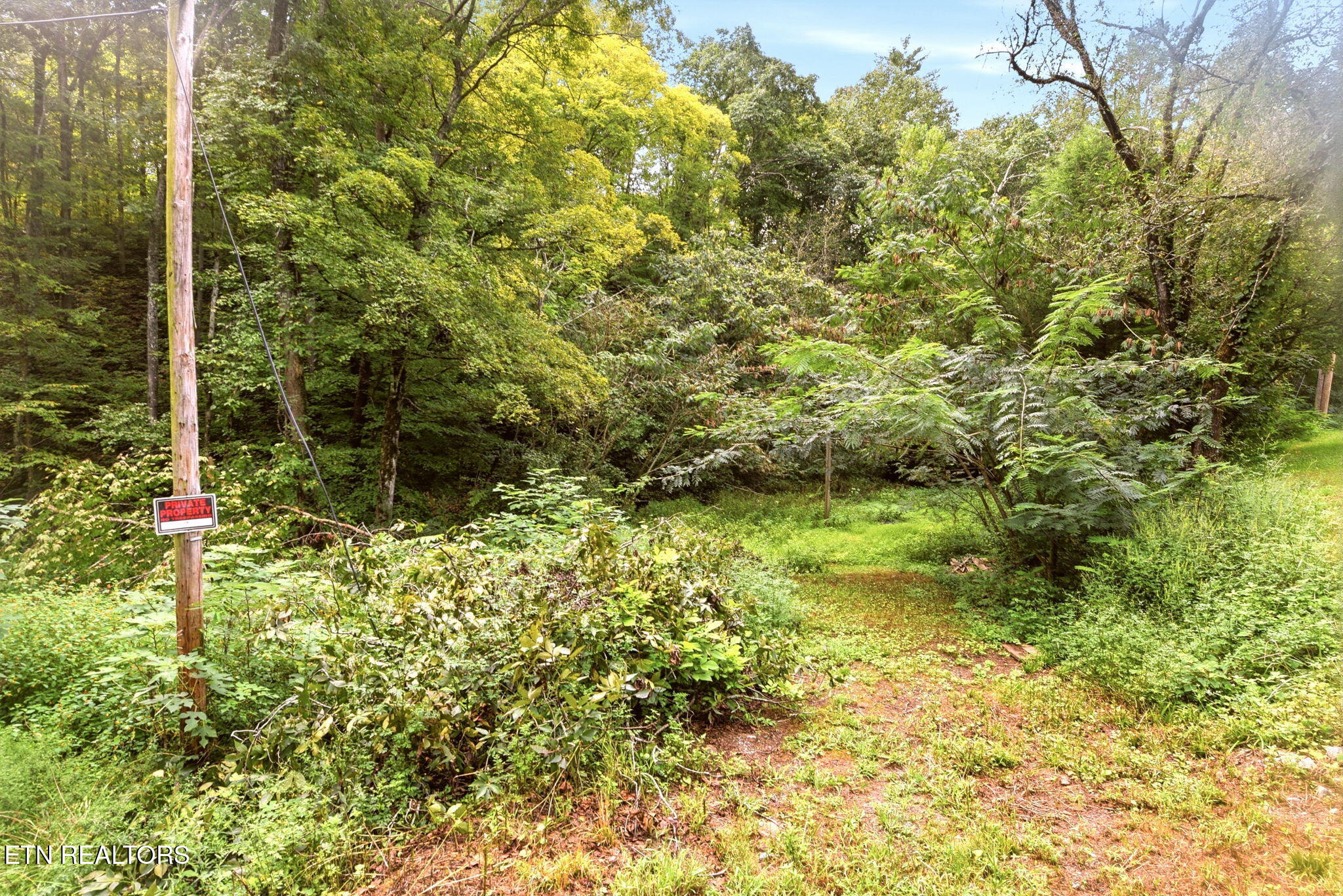 243 Smith Road Clinton TN 37716