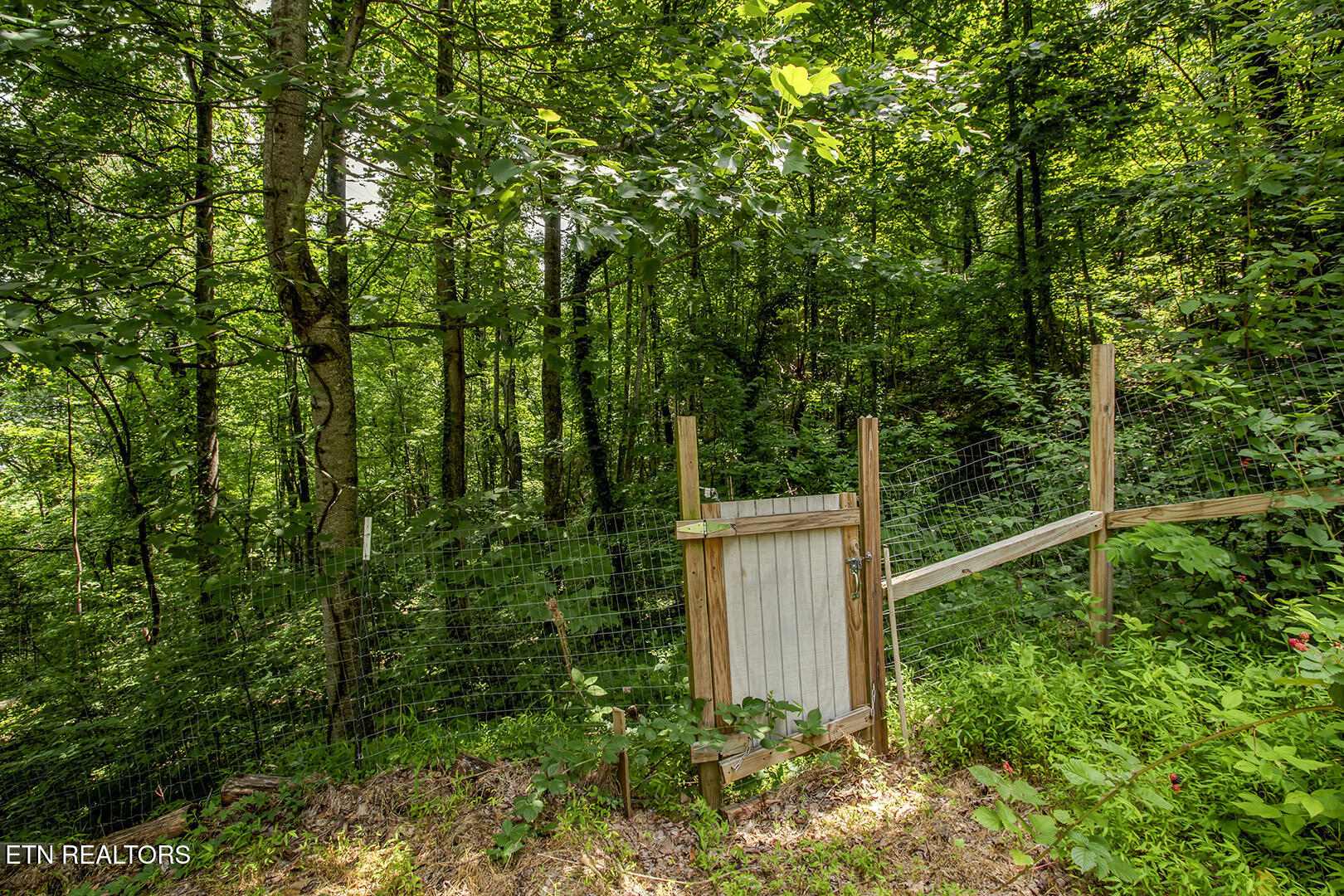 4171 Chilhowee Trail Maryville TN 37803