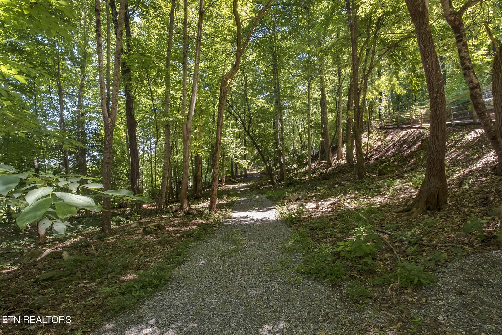 4171 Chilhowee Trail Maryville TN 37803