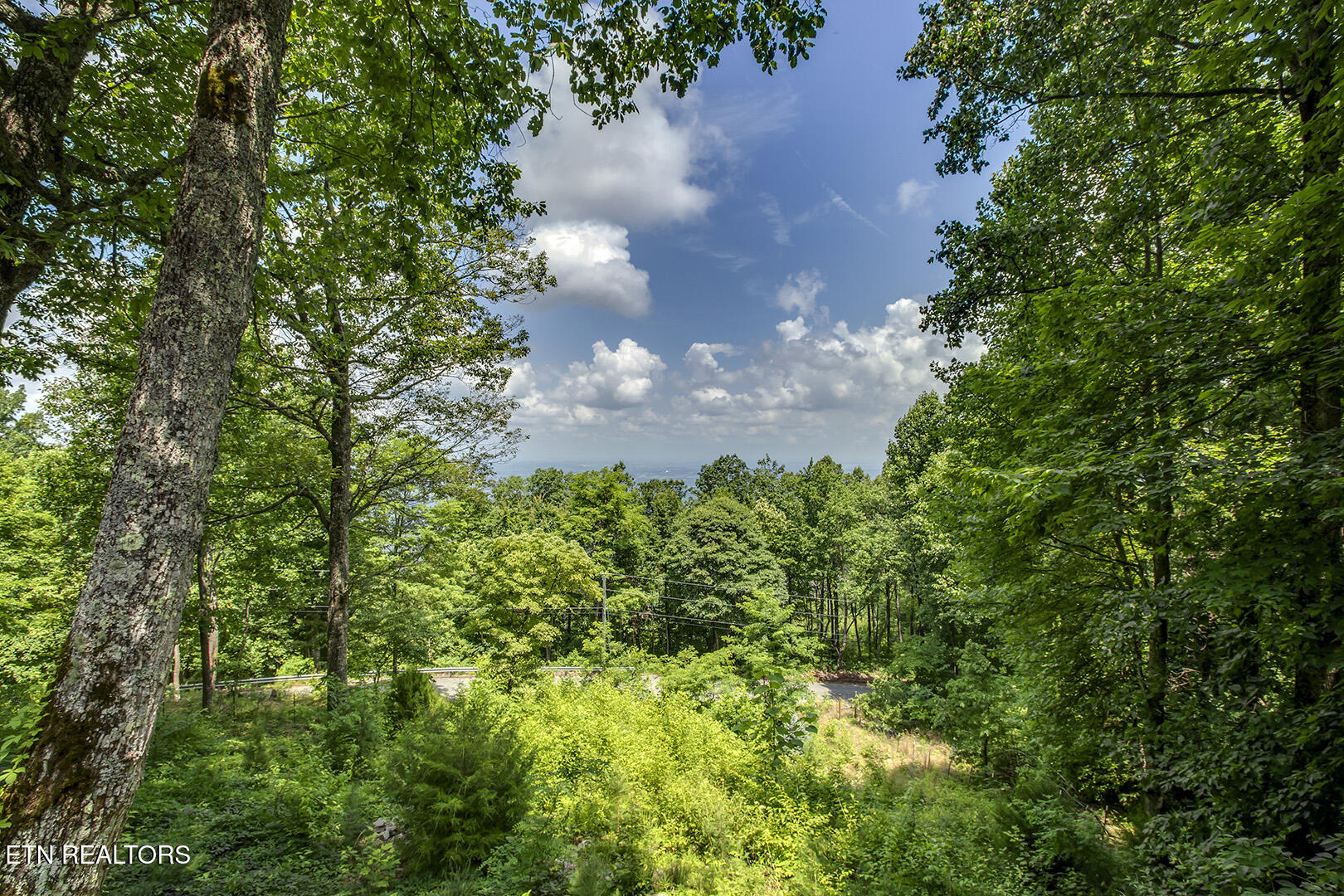 4171 Chilhowee Trail Maryville TN 37803