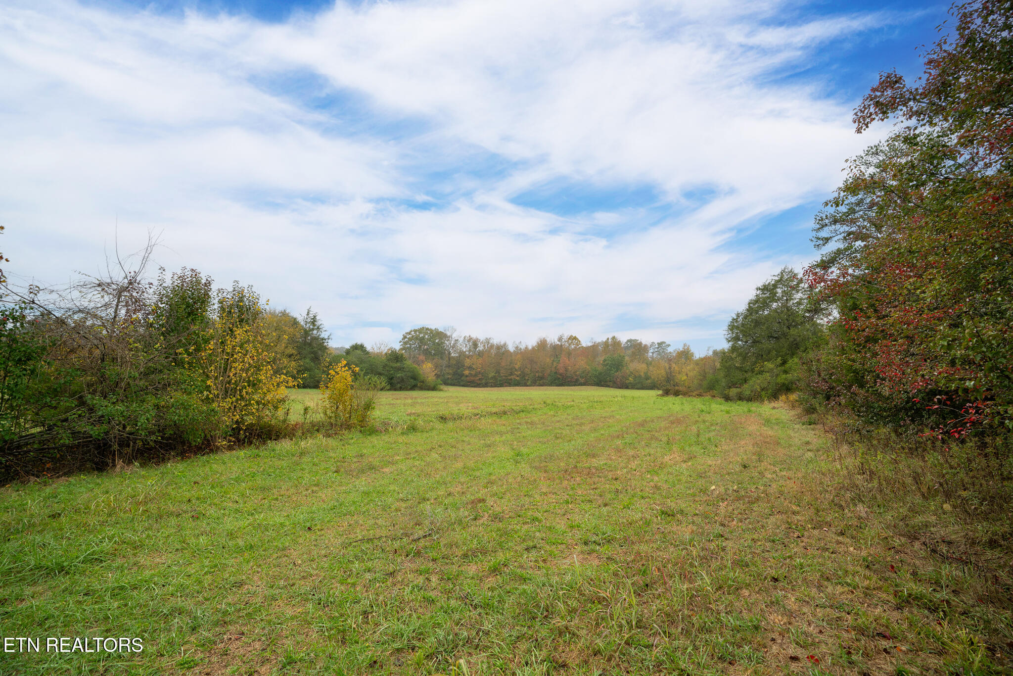 164 Co Road 635 Athens TN 37303