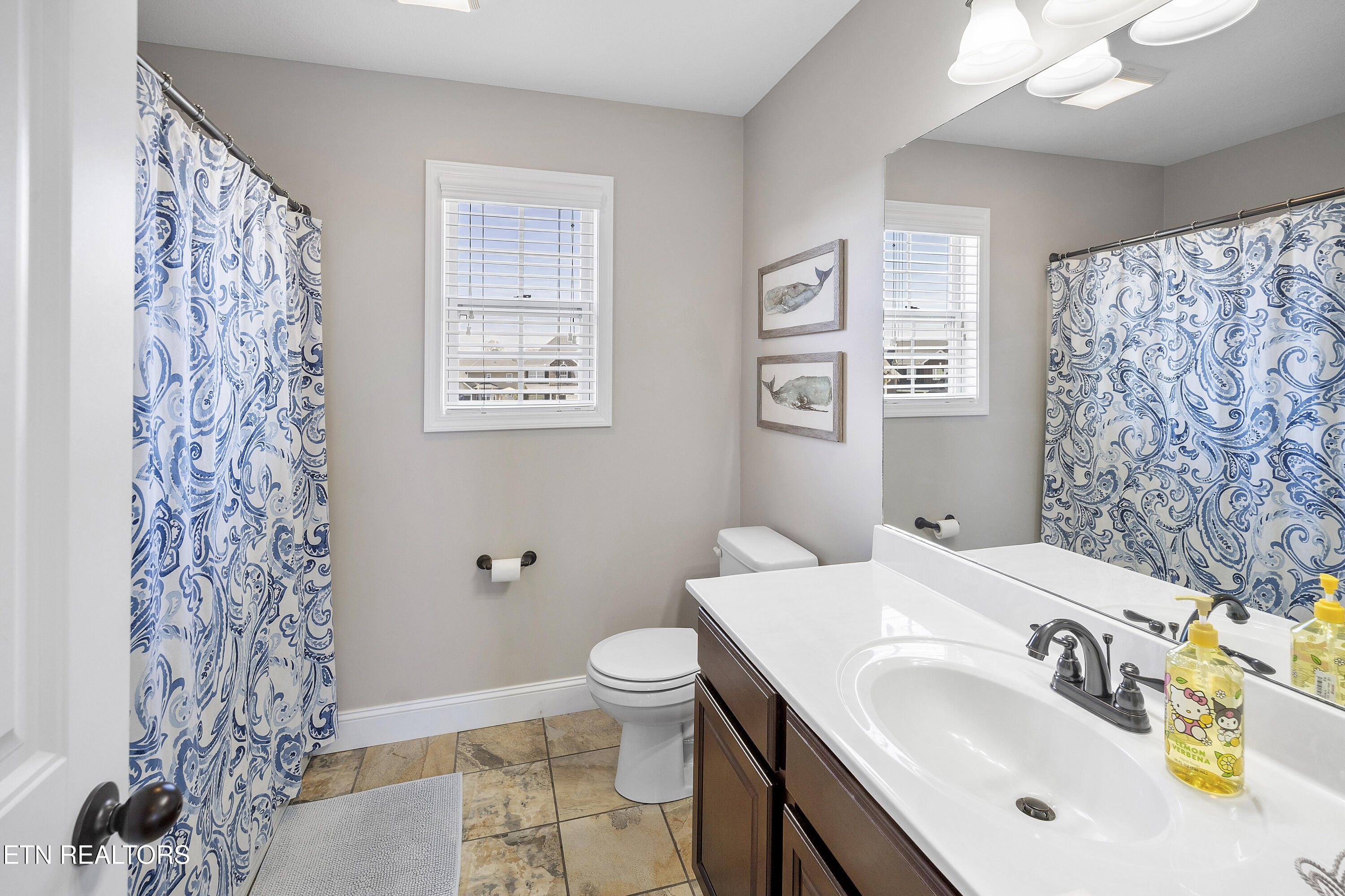 410 Frostview Lane Maryville TN 37804