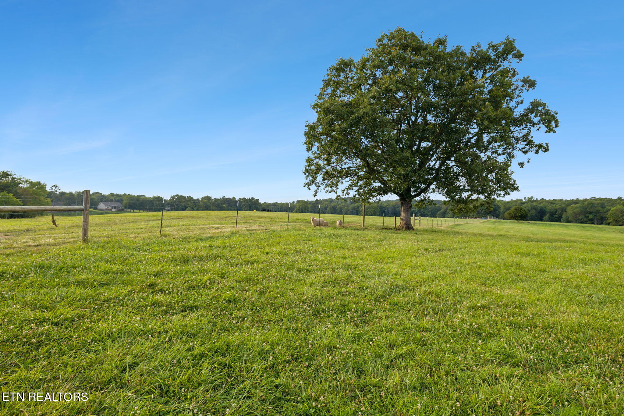 3173 Genesis Road Crossville TN 38571