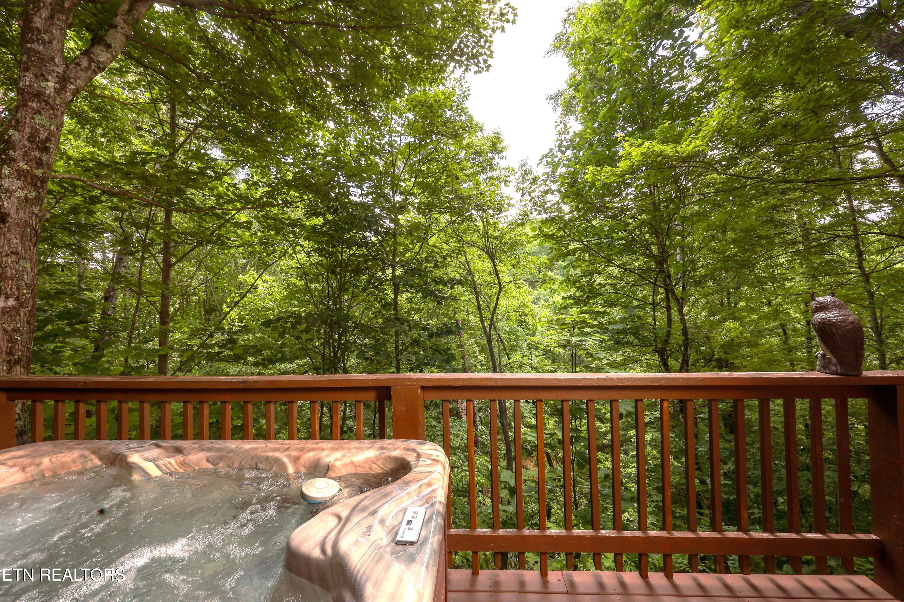 556 Wildwood Forest Way Sevierville TN 37876