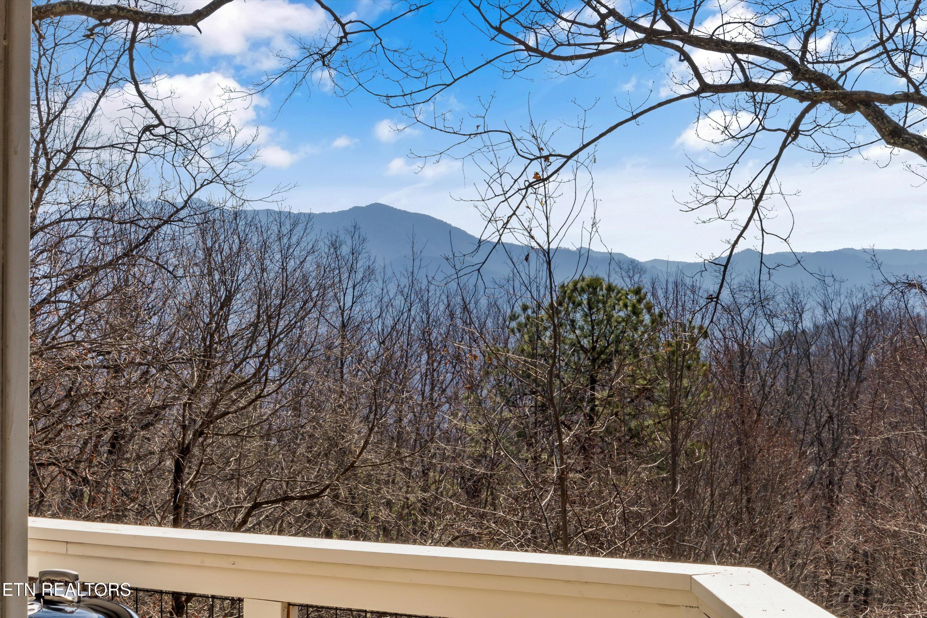 1037 Ski View Drive Gatlinburg TN 37738