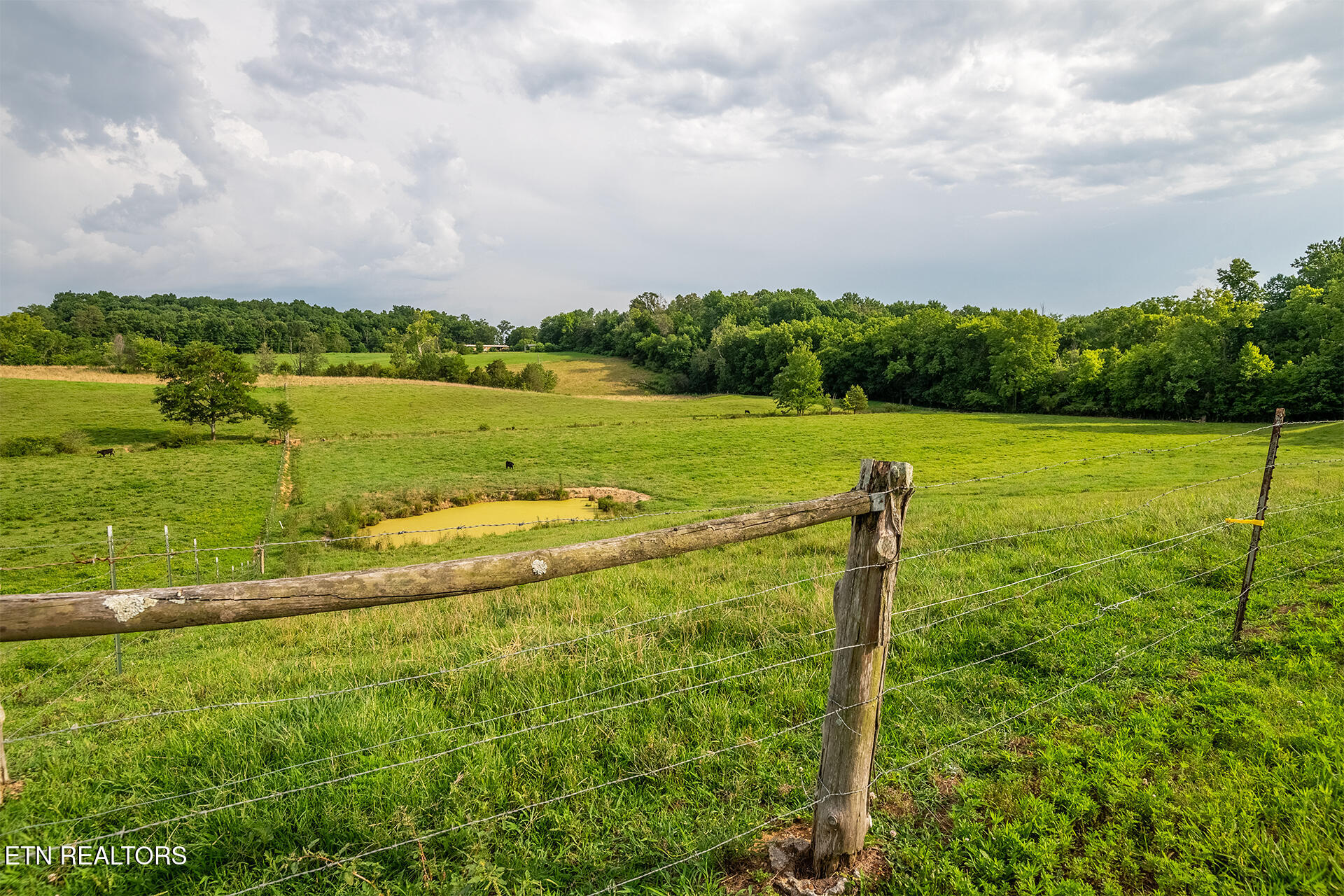 4635 Warrensburg Road Greeneville TN 37743