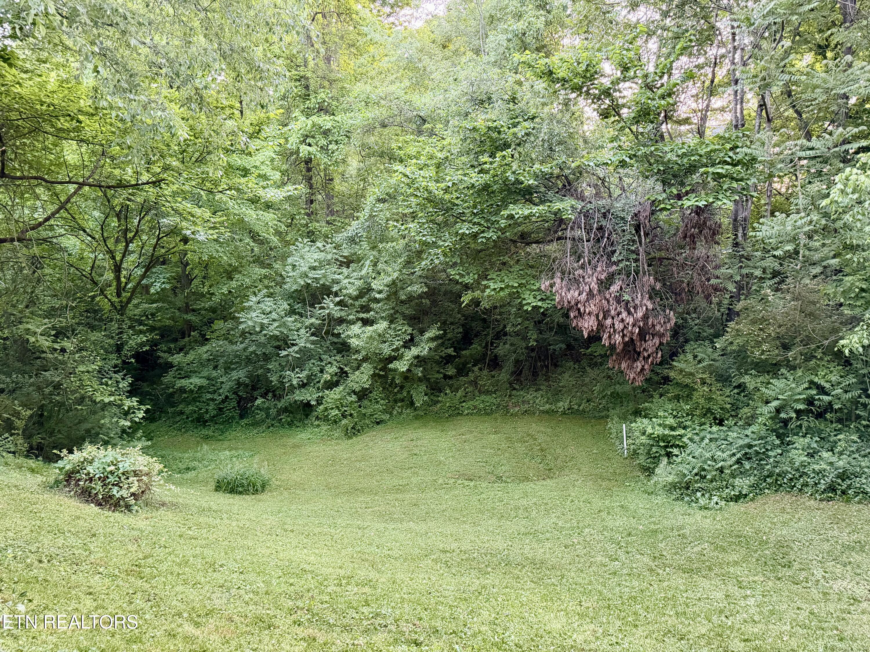 2202 Orchard Meade Lane Knoxville TN 37923