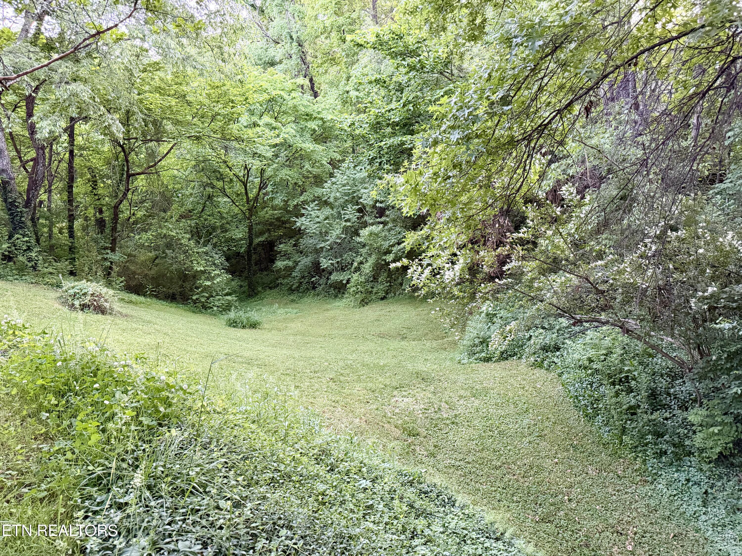 2202 Orchard Meade Lane Knoxville TN 37923