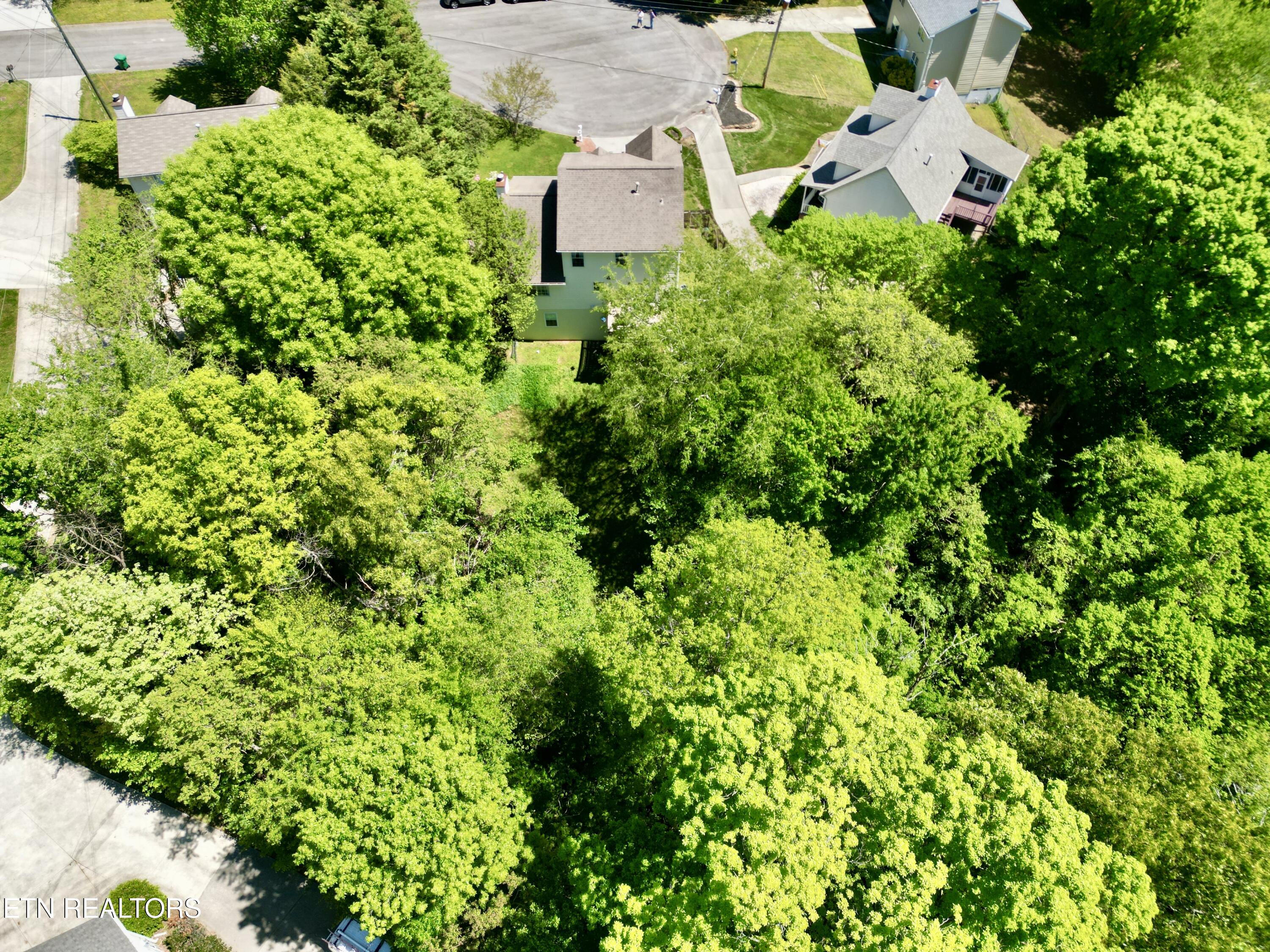 2202 Orchard Meade Lane Knoxville TN 37923