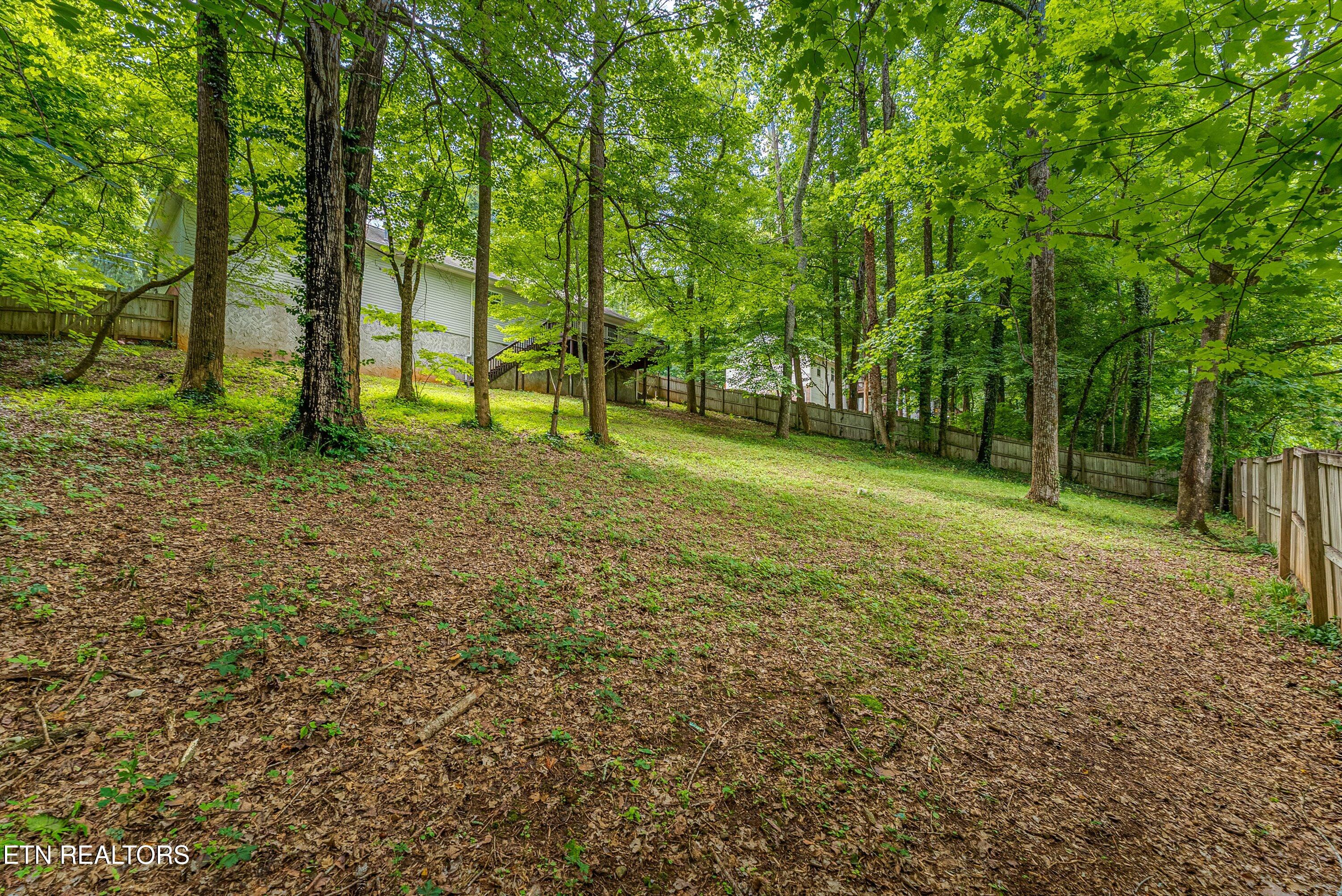 6133 Weems Road Knoxville TN 37918