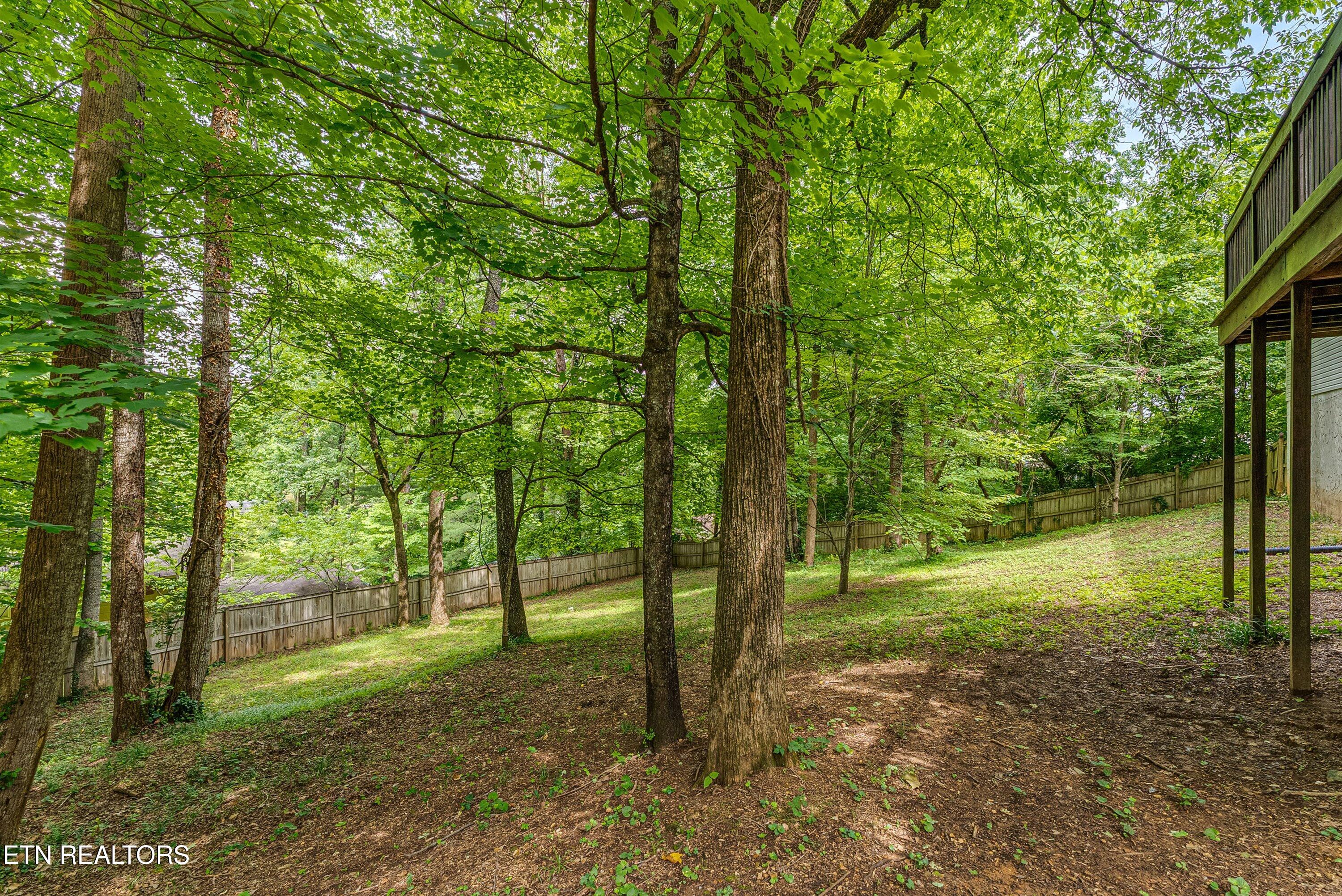 6133 Weems Road Knoxville TN 37918