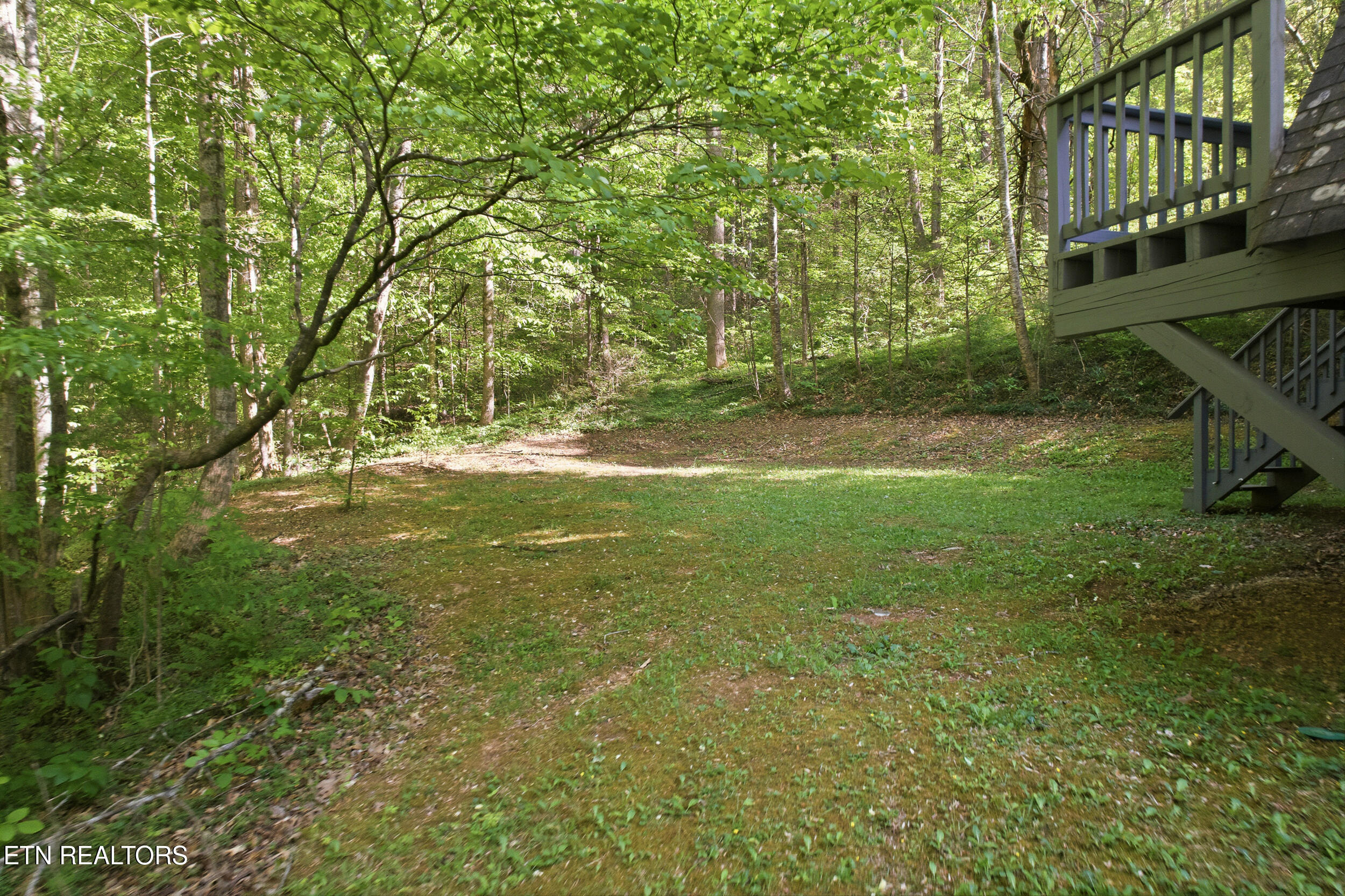 313 Domar Drive Townsend TN 37882