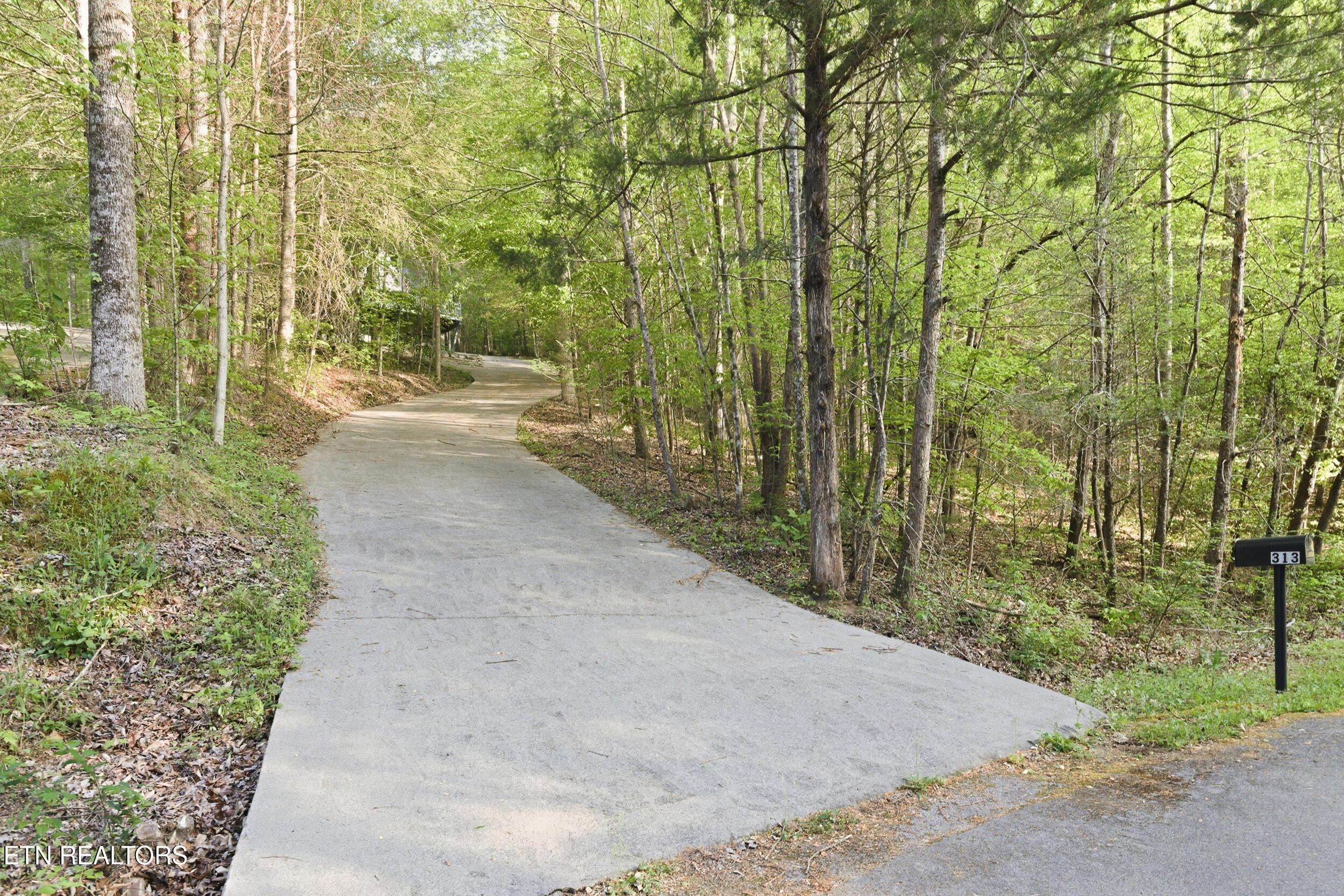 313 Domar Drive Townsend TN 37882