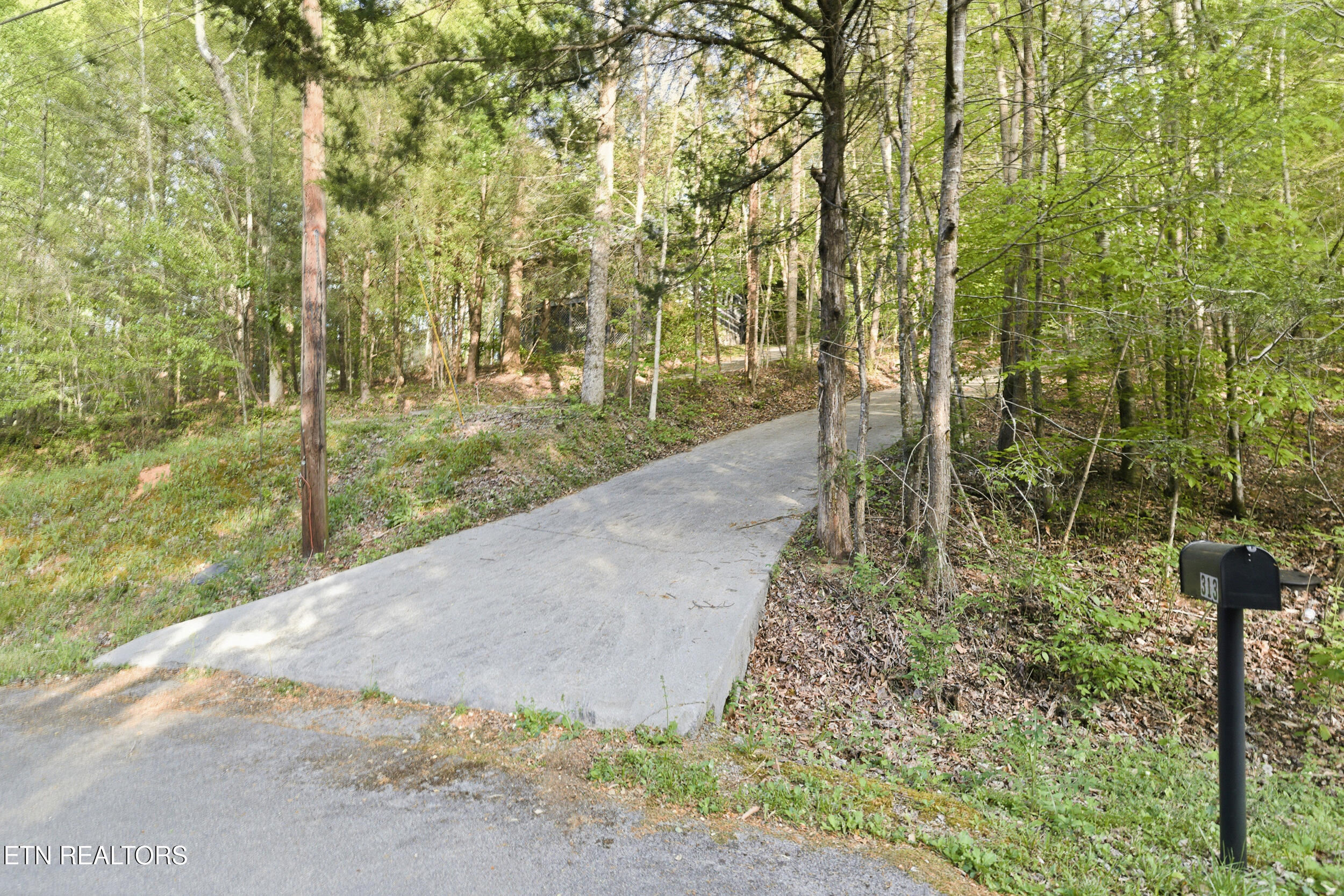 313 Domar Drive Townsend TN 37882
