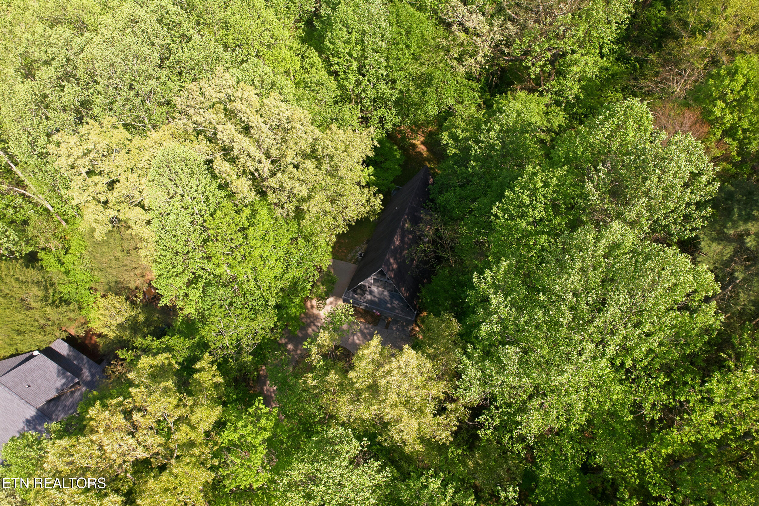 313 Domar Drive Townsend TN 37882